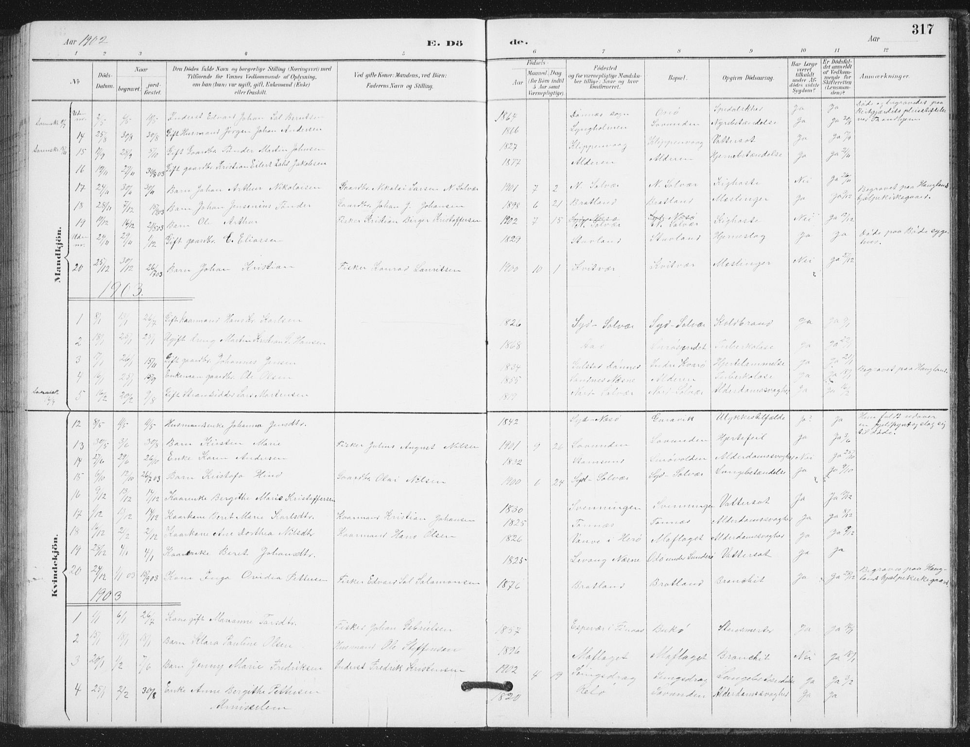 Ministerialprotokoller, klokkerbøker og fødselsregistre - Nordland, AV/SAT-A-1459/839/L0573: Parish register (copy) no. 839C03, 1892-1917, p. 317