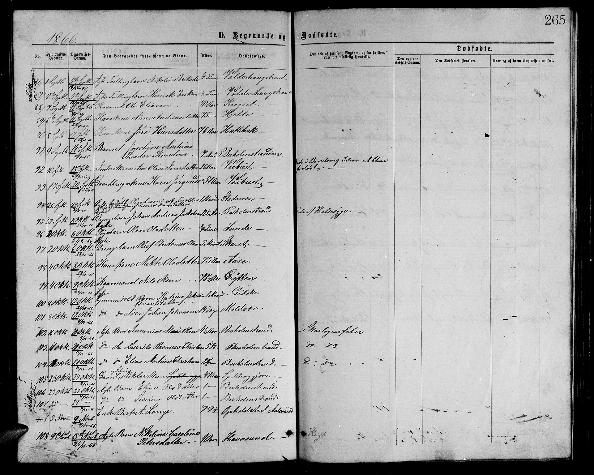 Ministerialprotokoller, klokkerbøker og fødselsregistre - Møre og Romsdal, AV/SAT-A-1454/528/L0428: Parish register (copy) no. 528C09, 1864-1880, p. 265