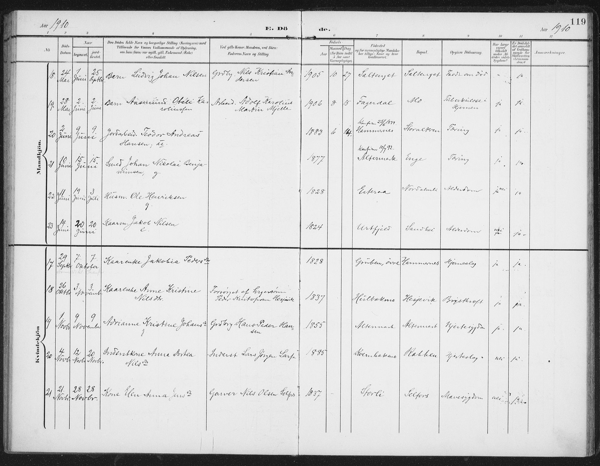 Ministerialprotokoller, klokkerbøker og fødselsregistre - Nordland, AV/SAT-A-1459/827/L0403: Parish register (official) no. 827A15, 1903-1912, p. 119