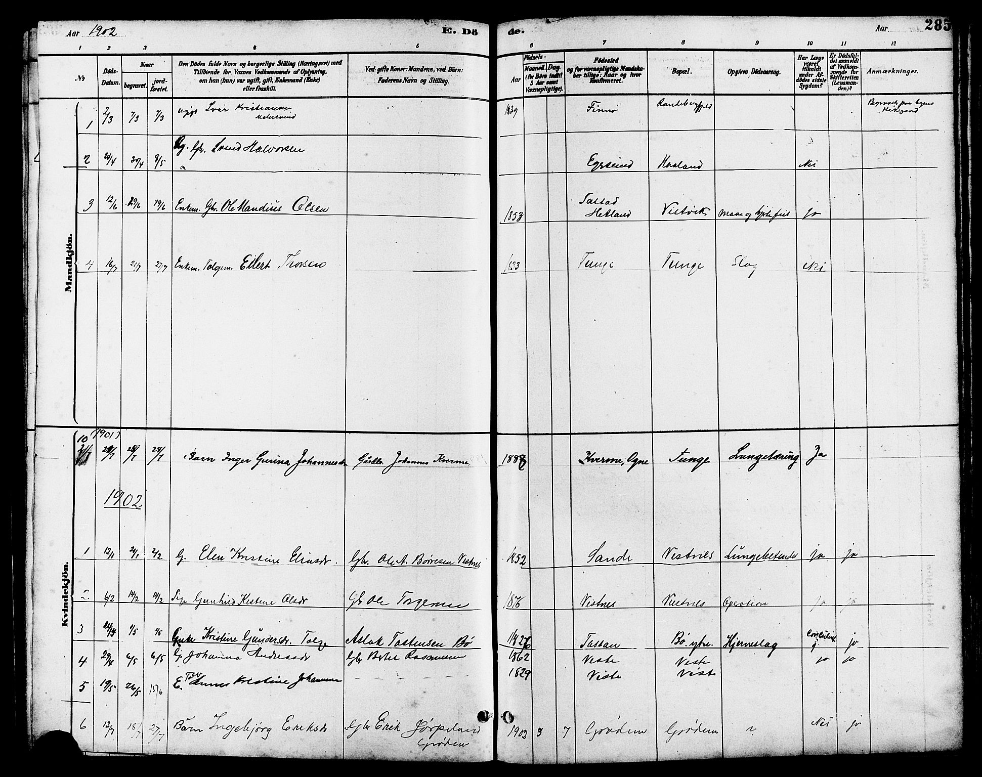 Hetland sokneprestkontor, AV/SAST-A-101826/30/30BB/L0006: Parish register (copy) no. B 6, 1878-1921, p. 285