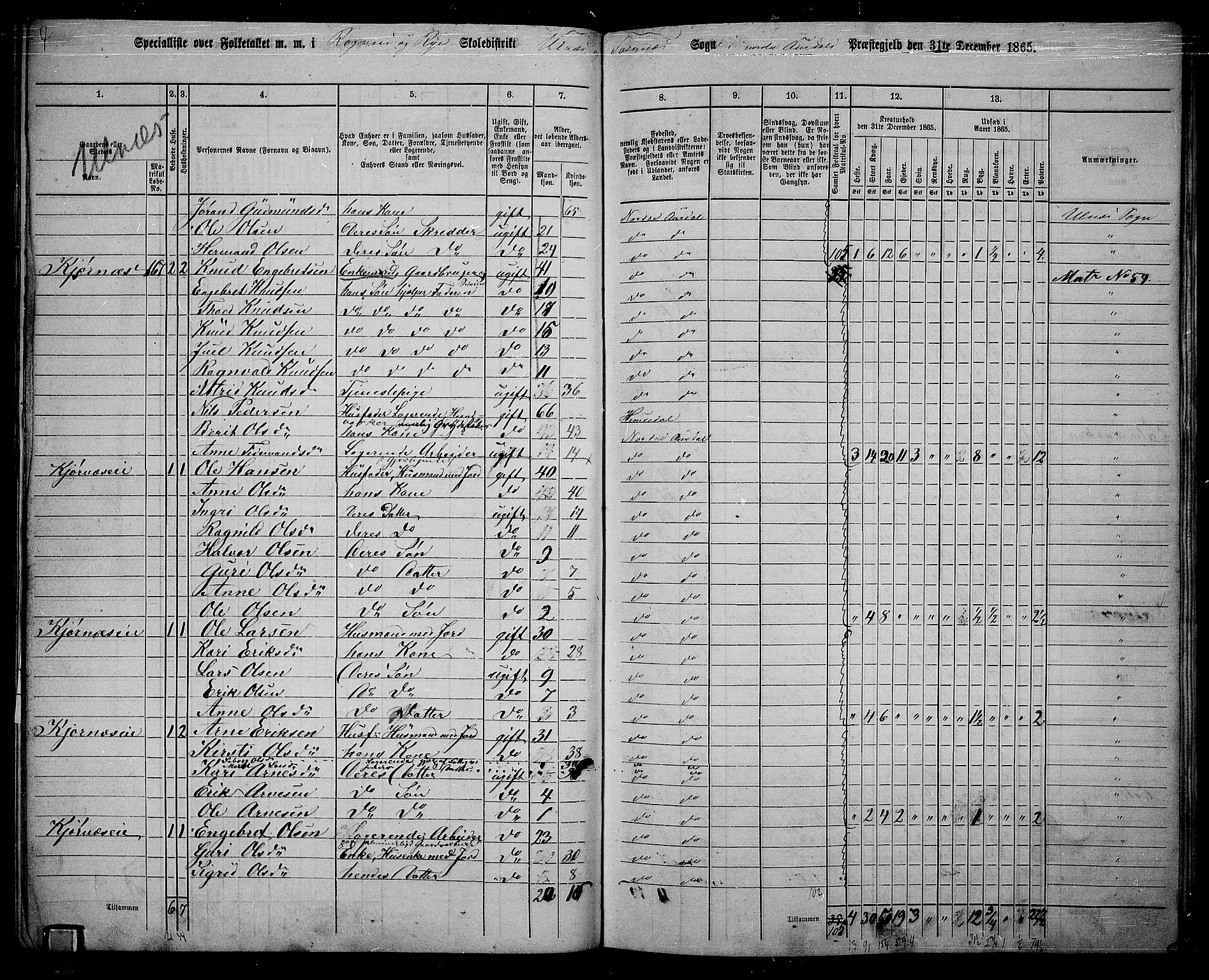 RA, 1865 census for Nord-Aurdal, 1865, p. 135