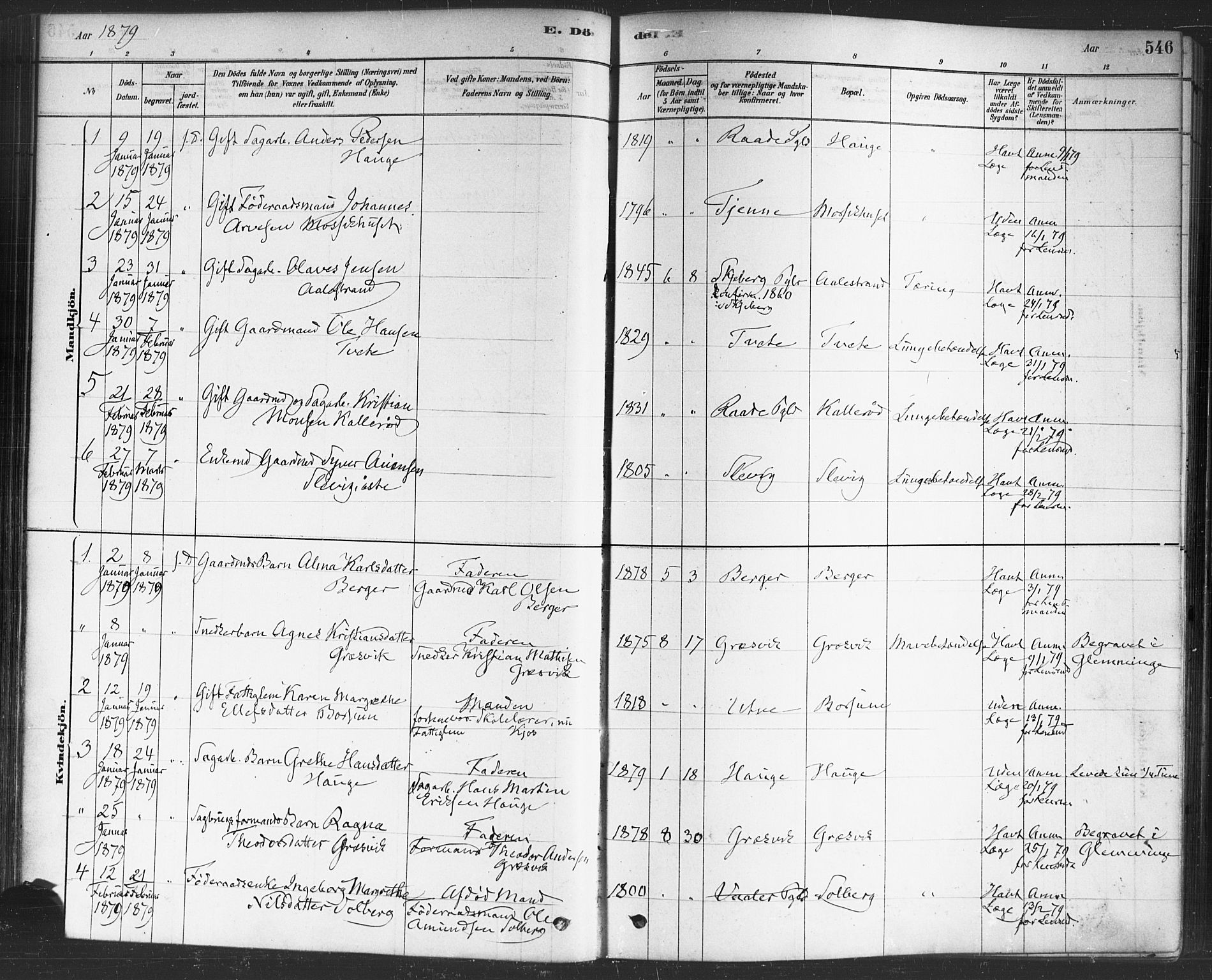 Onsøy prestekontor Kirkebøker, SAO/A-10914/F/Fa/L0006: Parish register (official) no. I 6, 1878-1898, p. 546