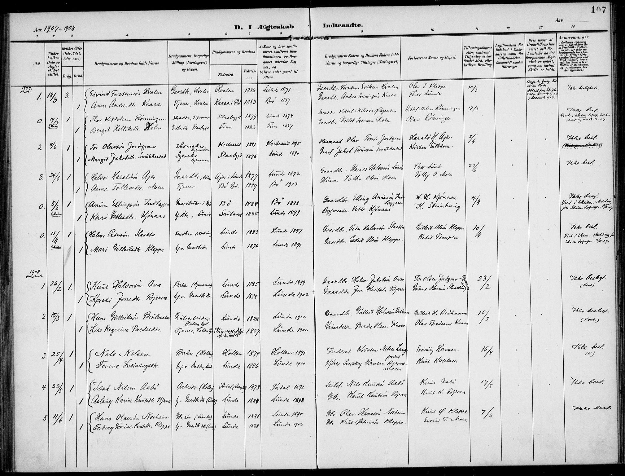 Lunde kirkebøker, SAKO/A-282/F/Fa/L0004: Parish register (official) no. I 4, 1902-1913, p. 107
