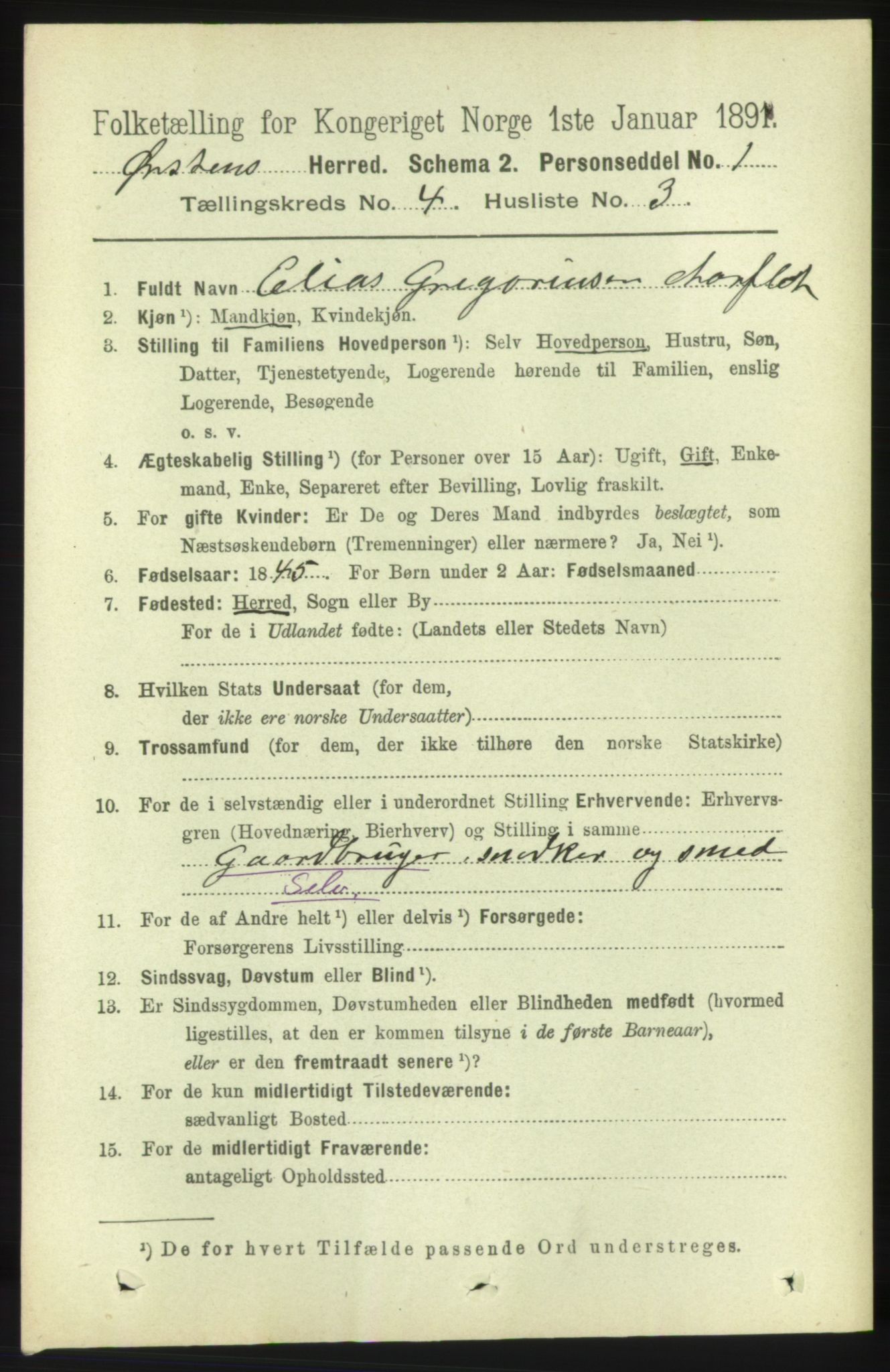 RA, 1891 census for 1520 Ørsta, 1891, p. 1689