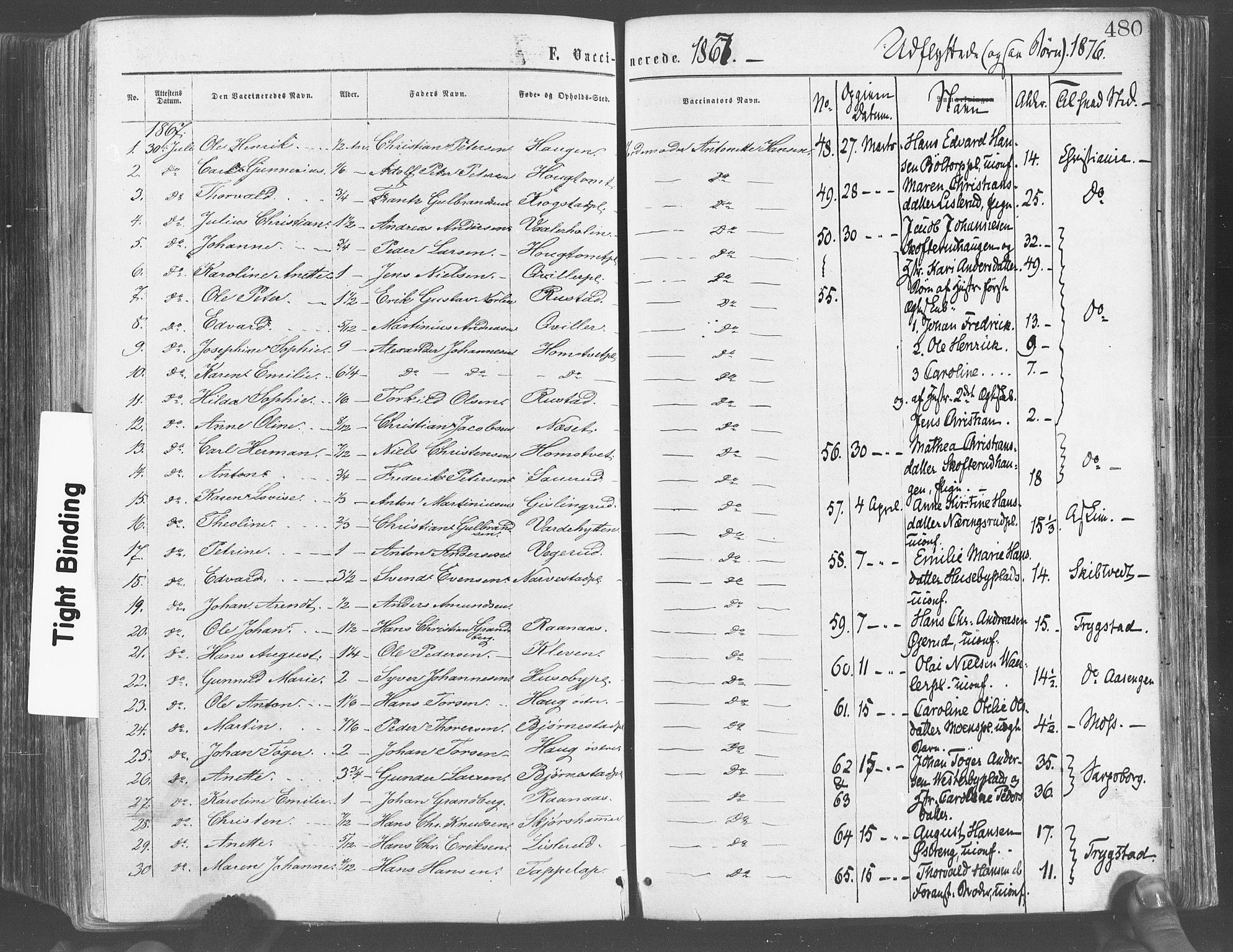 Eidsberg prestekontor Kirkebøker, SAO/A-10905/F/Fa/L0011: Parish register (official) no. I 11, 1867-1878, p. 480