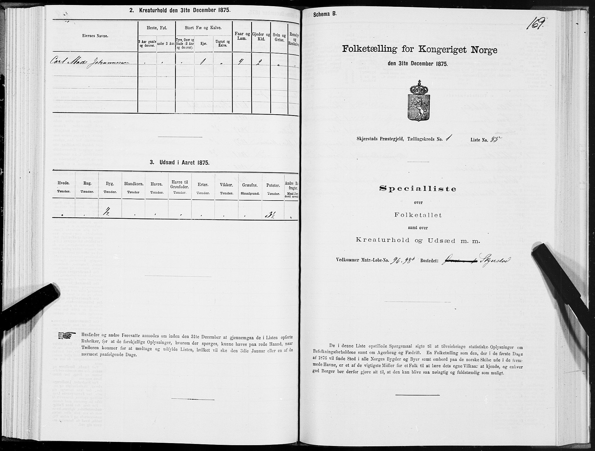 SAT, 1875 census for 1842P Skjerstad, 1875, p. 1169