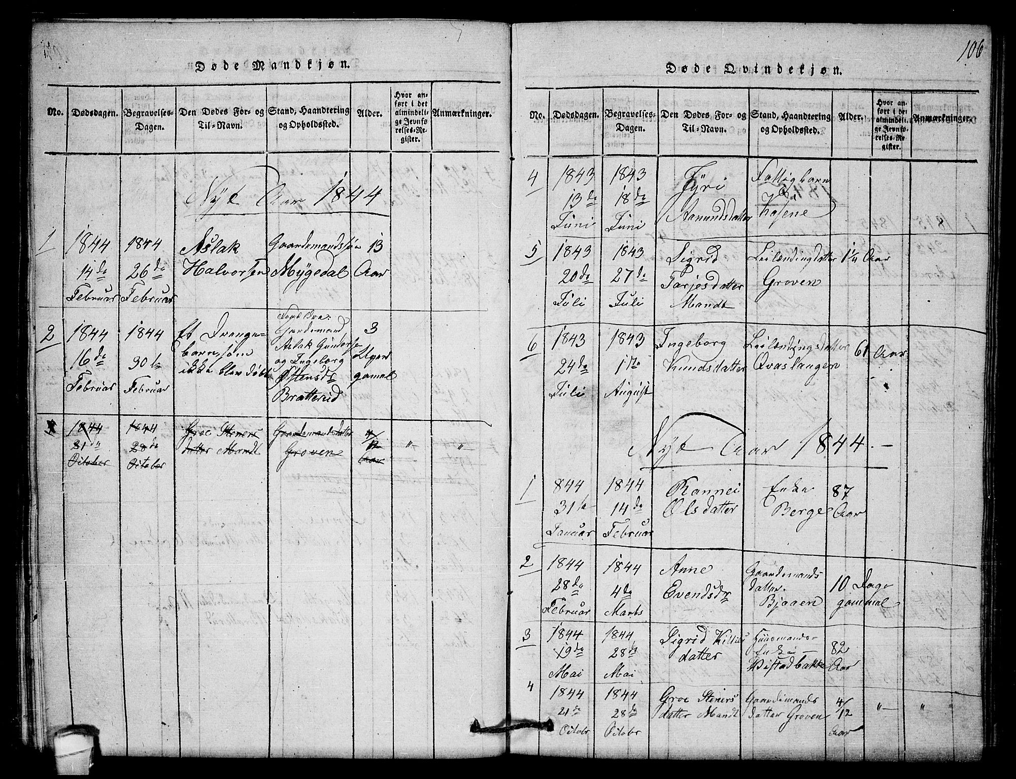 Lårdal kirkebøker, SAKO/A-284/G/Gb/L0001: Parish register (copy) no. II 1, 1815-1865, p. 106
