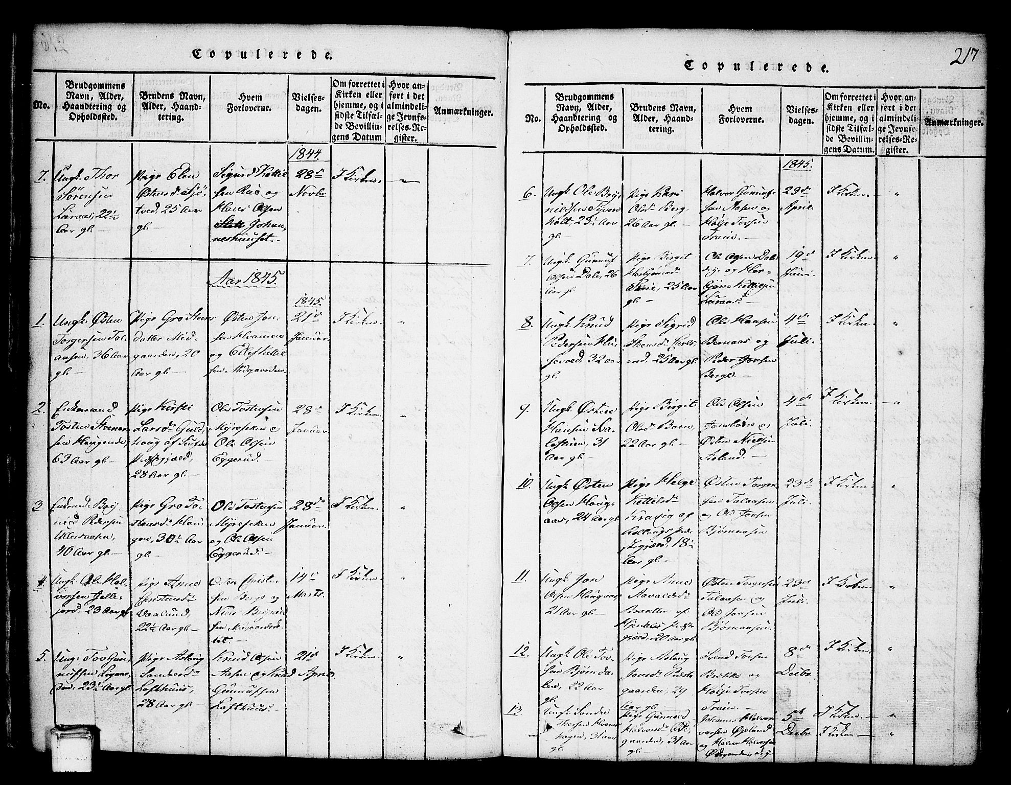 Tinn kirkebøker, AV/SAKO-A-308/G/Ga/L0001: Parish register (copy) no. I 1, 1815-1850, p. 217