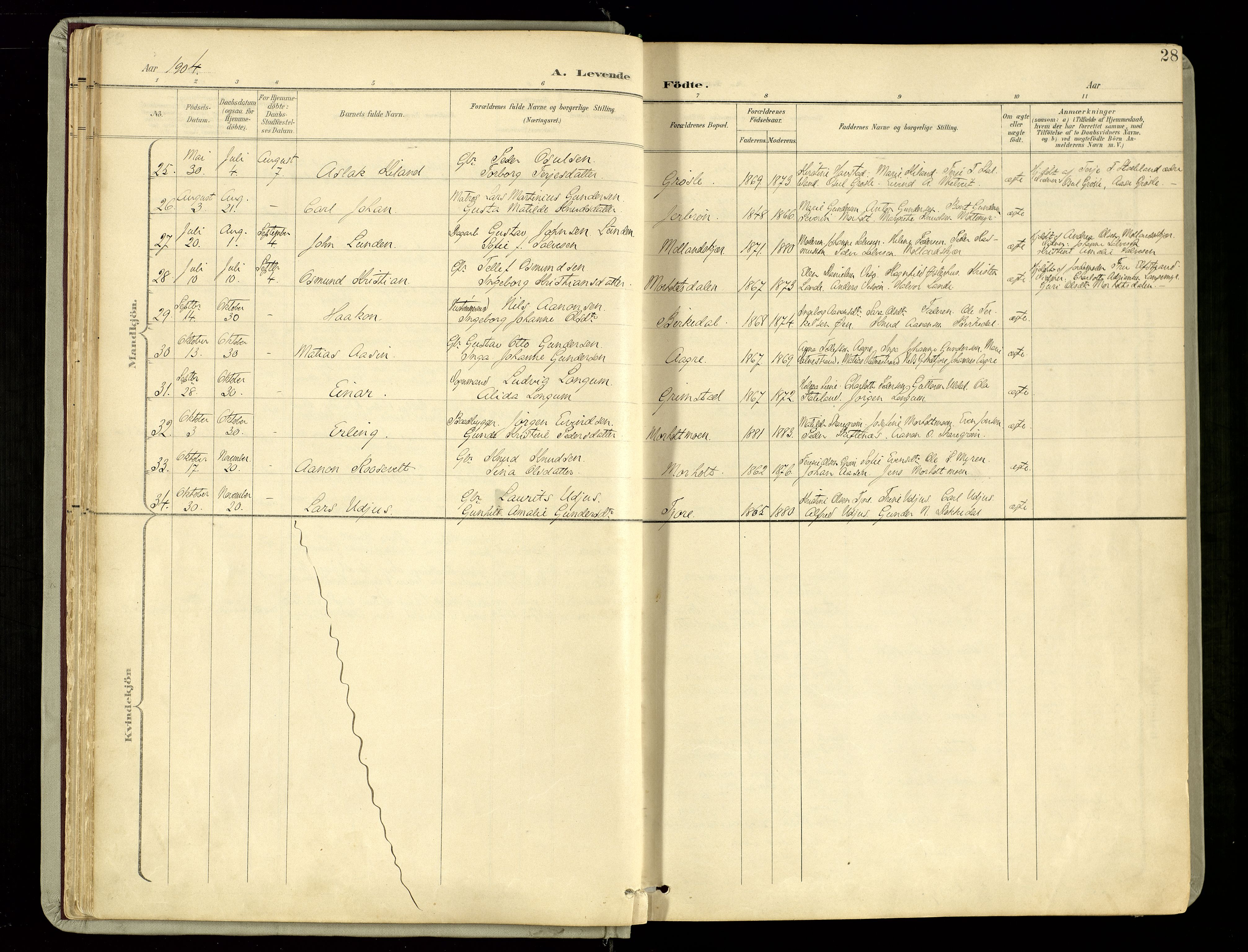 Hommedal sokneprestkontor, AV/SAK-1111-0023/F/Fa/Fab/L0007: Parish register (official) no. A 7, 1898-1924, p. 28