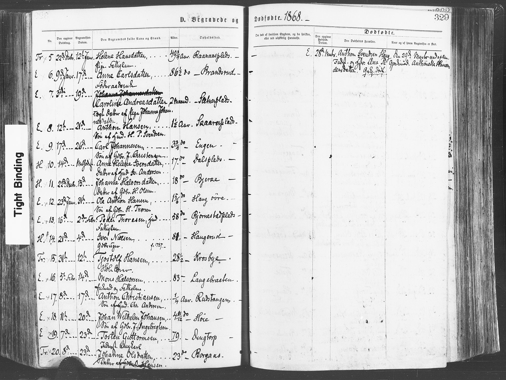 Eidsberg prestekontor Kirkebøker, SAO/A-10905/F/Fa/L0011: Parish register (official) no. I 11, 1867-1878, p. 329