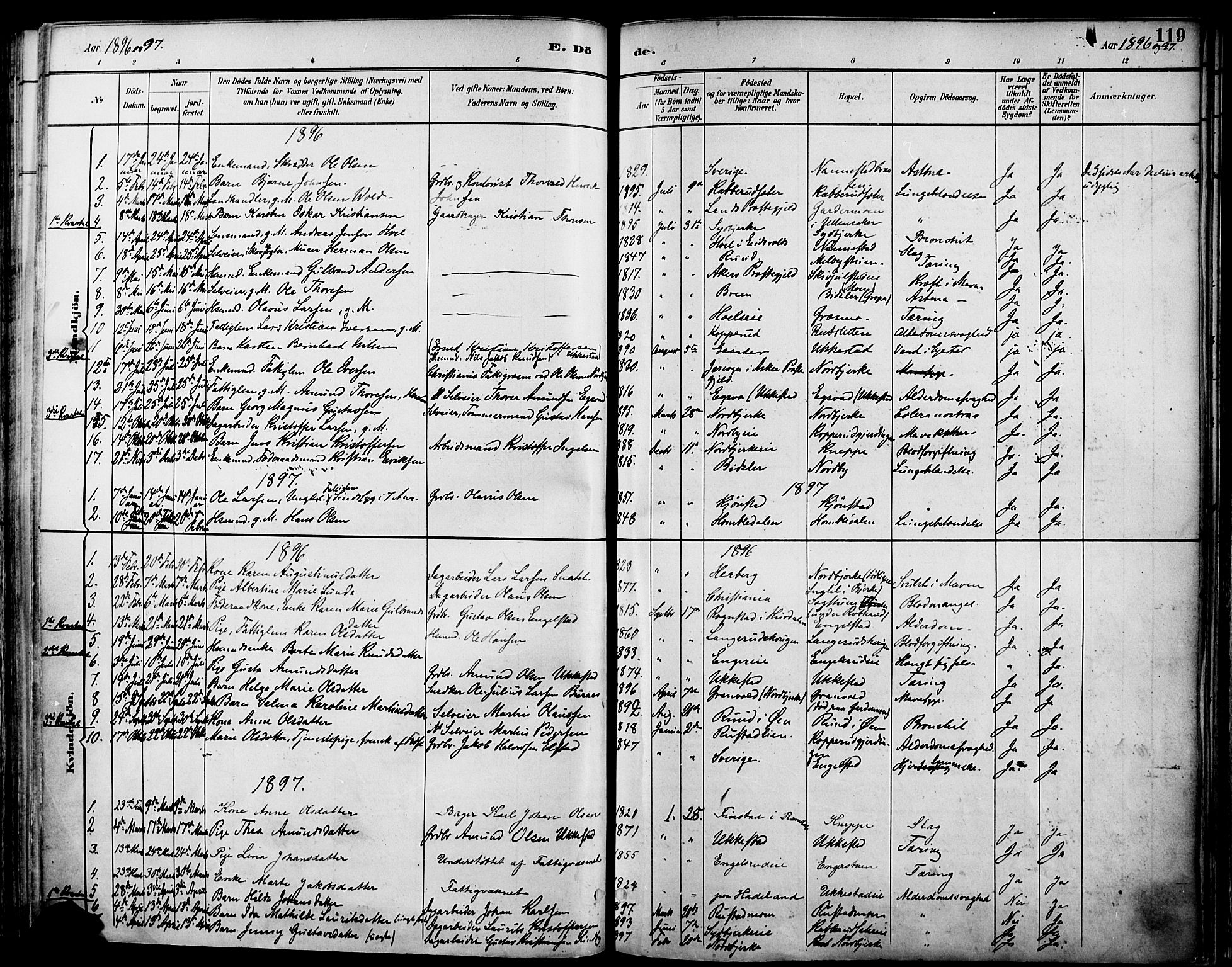 Nannestad prestekontor Kirkebøker, SAO/A-10414a/F/Fa/L0015: Parish register (official) no. I 15, 1891-1905, p. 119