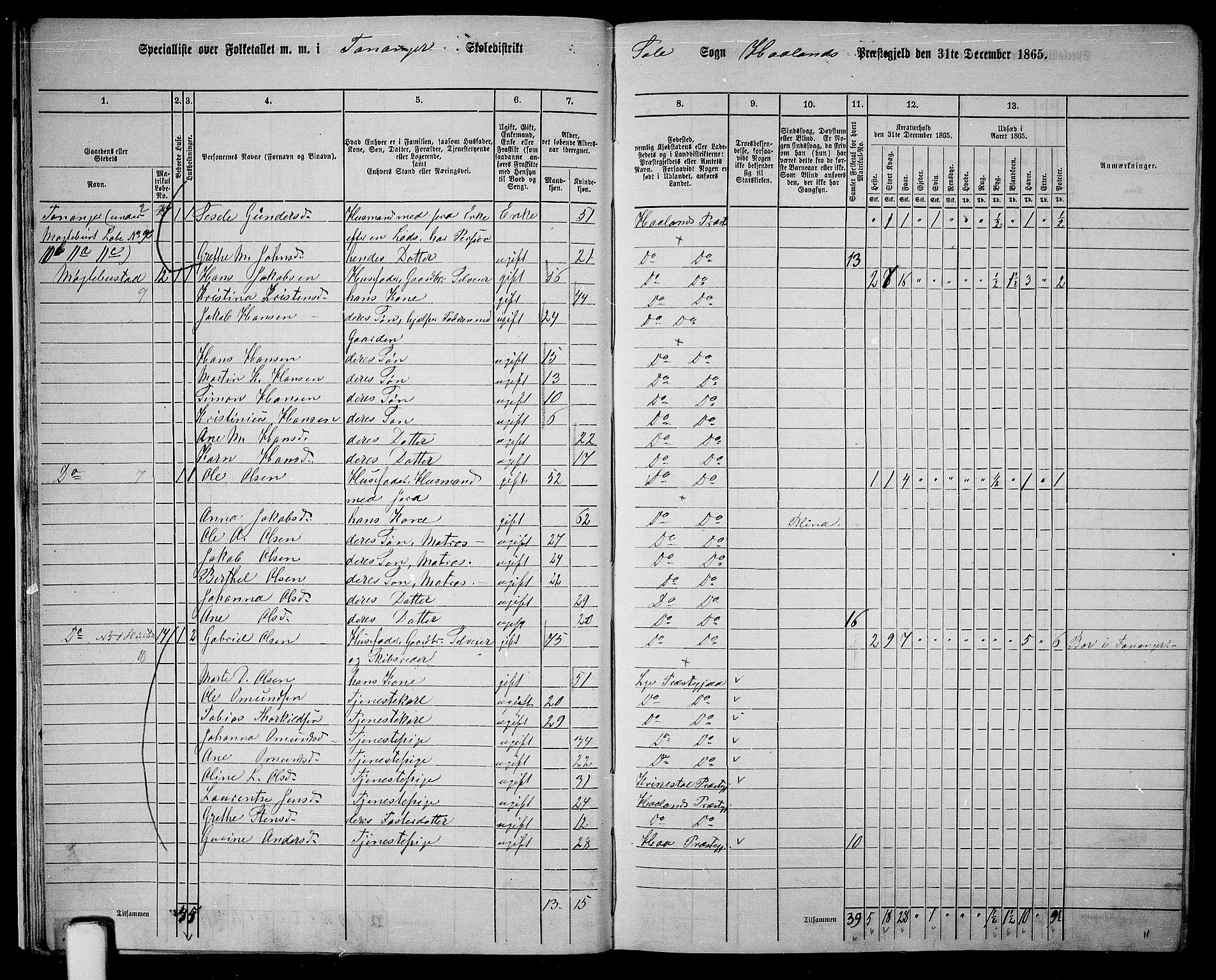 RA, 1865 census for Håland, 1865, p. 17