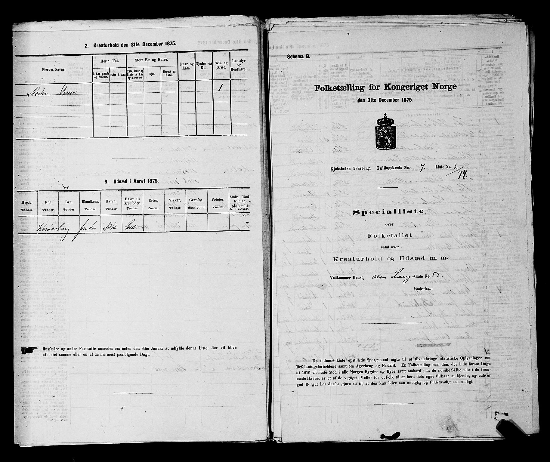 SAKO, 1875 census for 0705P Tønsberg, 1875, p. 197