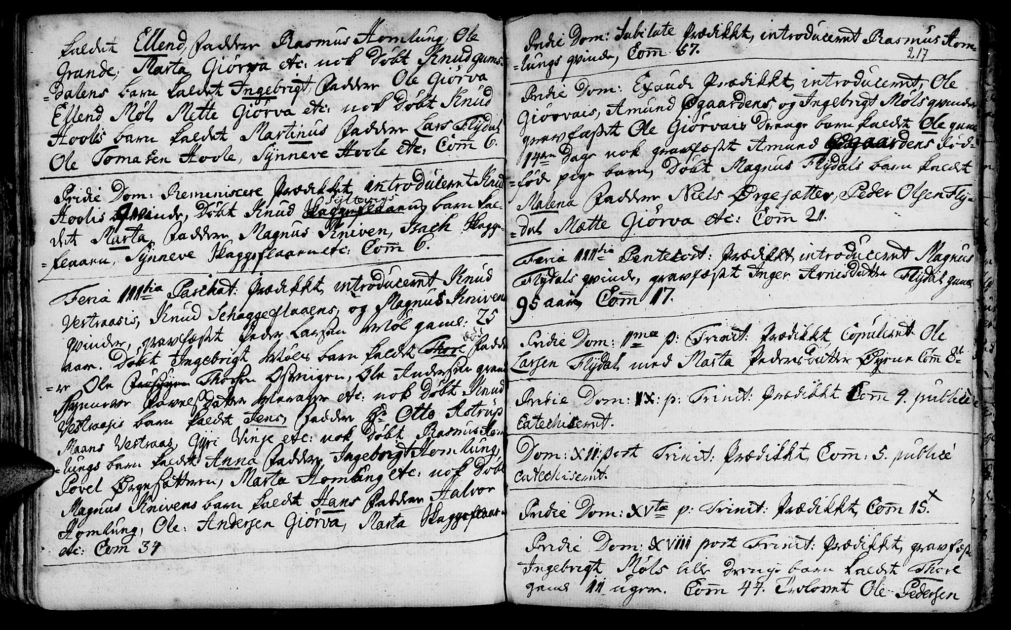 Ministerialprotokoller, klokkerbøker og fødselsregistre - Møre og Romsdal, SAT/A-1454/519/L0242: Parish register (official) no. 519A01 /3, 1736-1761, p. 217