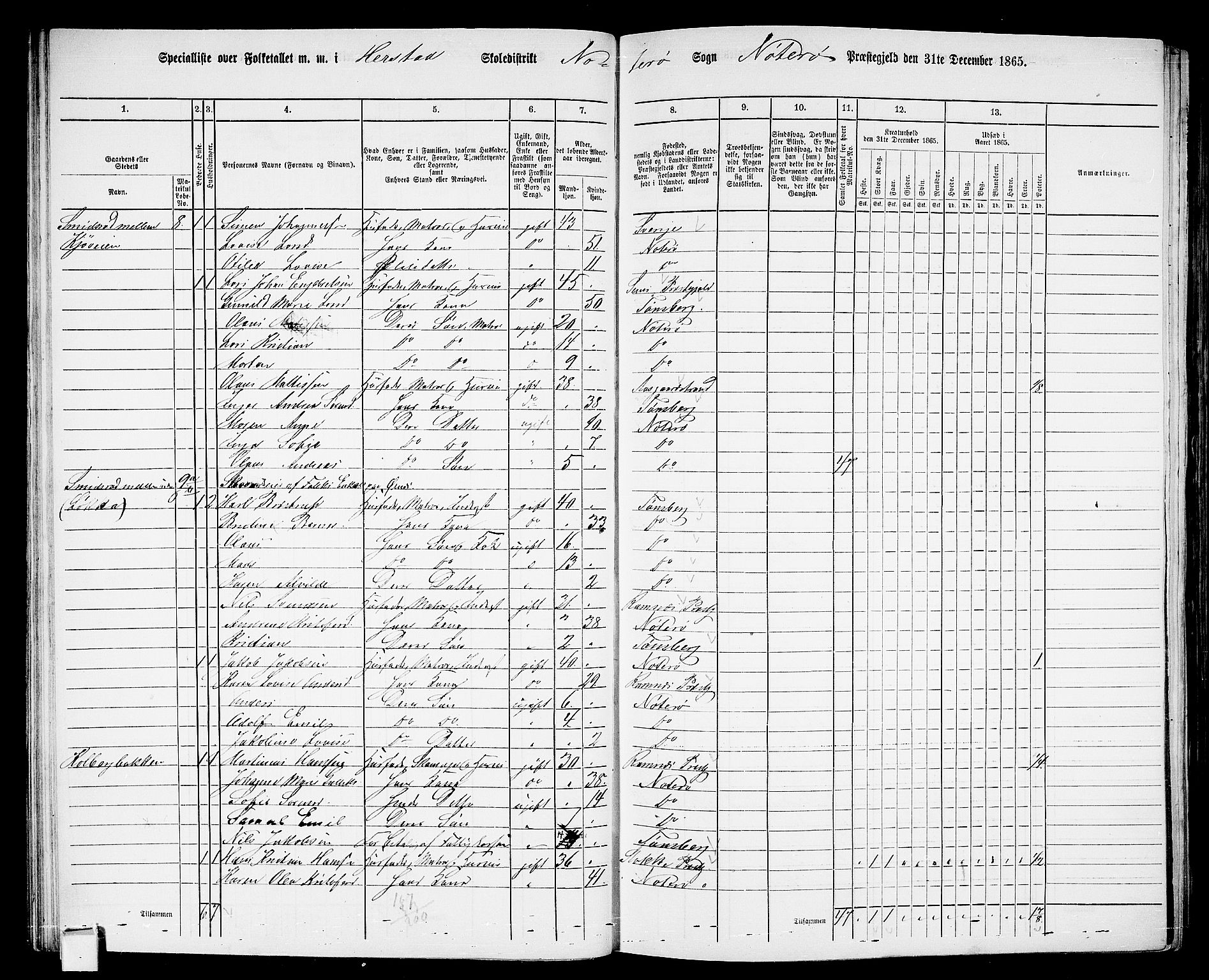 RA, 1865 census for Nøtterøy, 1865, p. 45