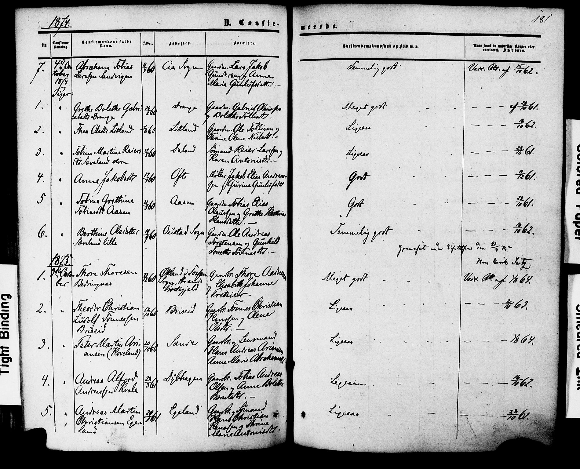 Herad sokneprestkontor, AV/SAK-1111-0018/F/Fa/Faa/L0005: Parish register (official) no. A 5, 1853-1886, p. 181