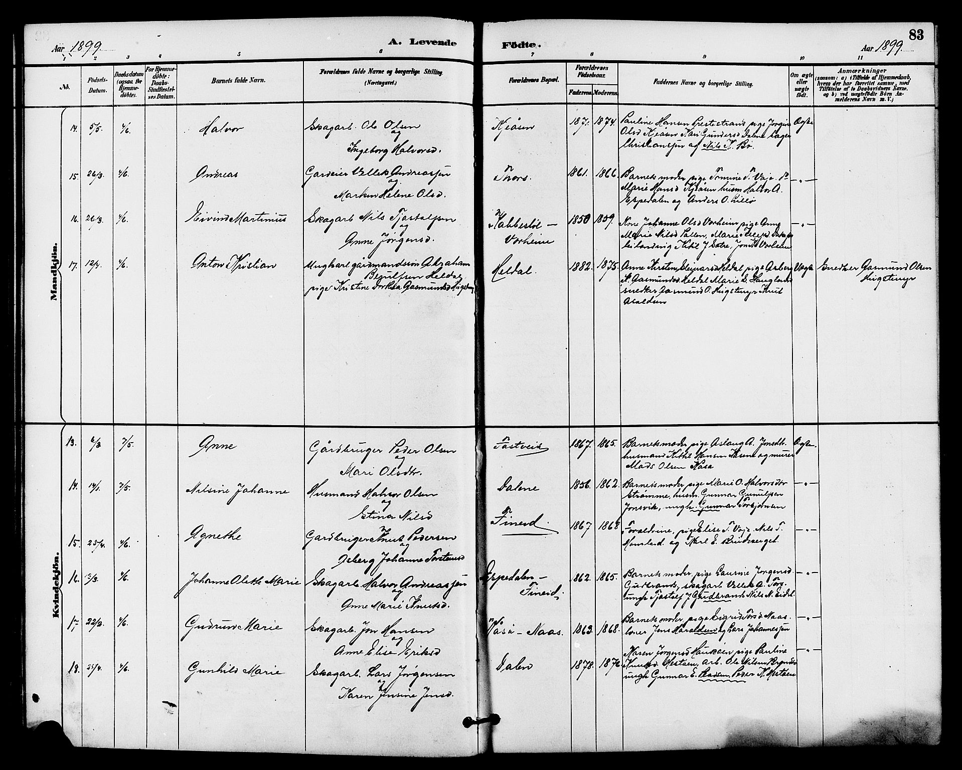 Drangedal kirkebøker, AV/SAKO-A-258/G/Ga/L0003: Parish register (copy) no. I 3, 1887-1906, p. 83