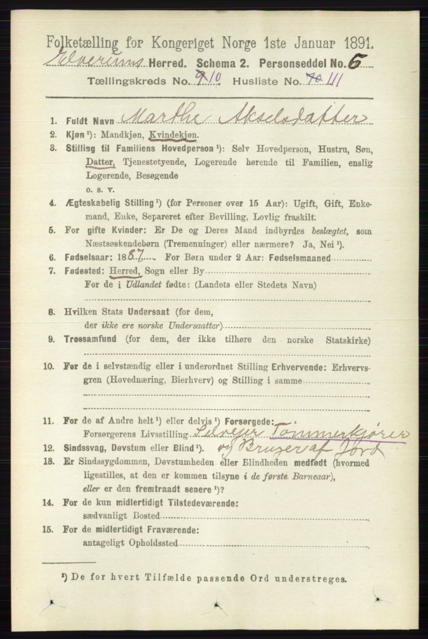 RA, 1891 census for 0427 Elverum, 1891, p. 8919