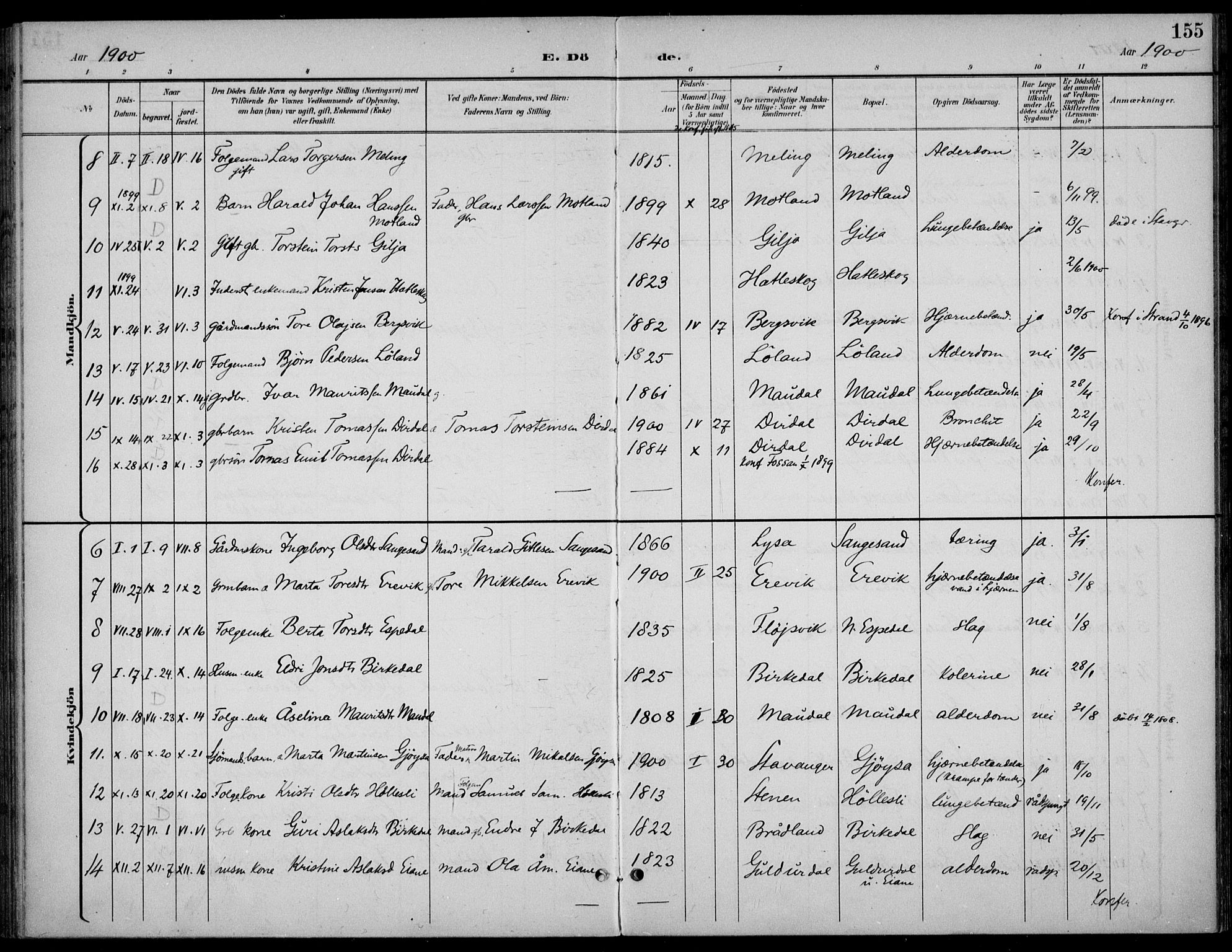 Høgsfjord sokneprestkontor, AV/SAST-A-101624/H/Ha/Haa/L0007: Parish register (official) no. A 7, 1898-1917, p. 155