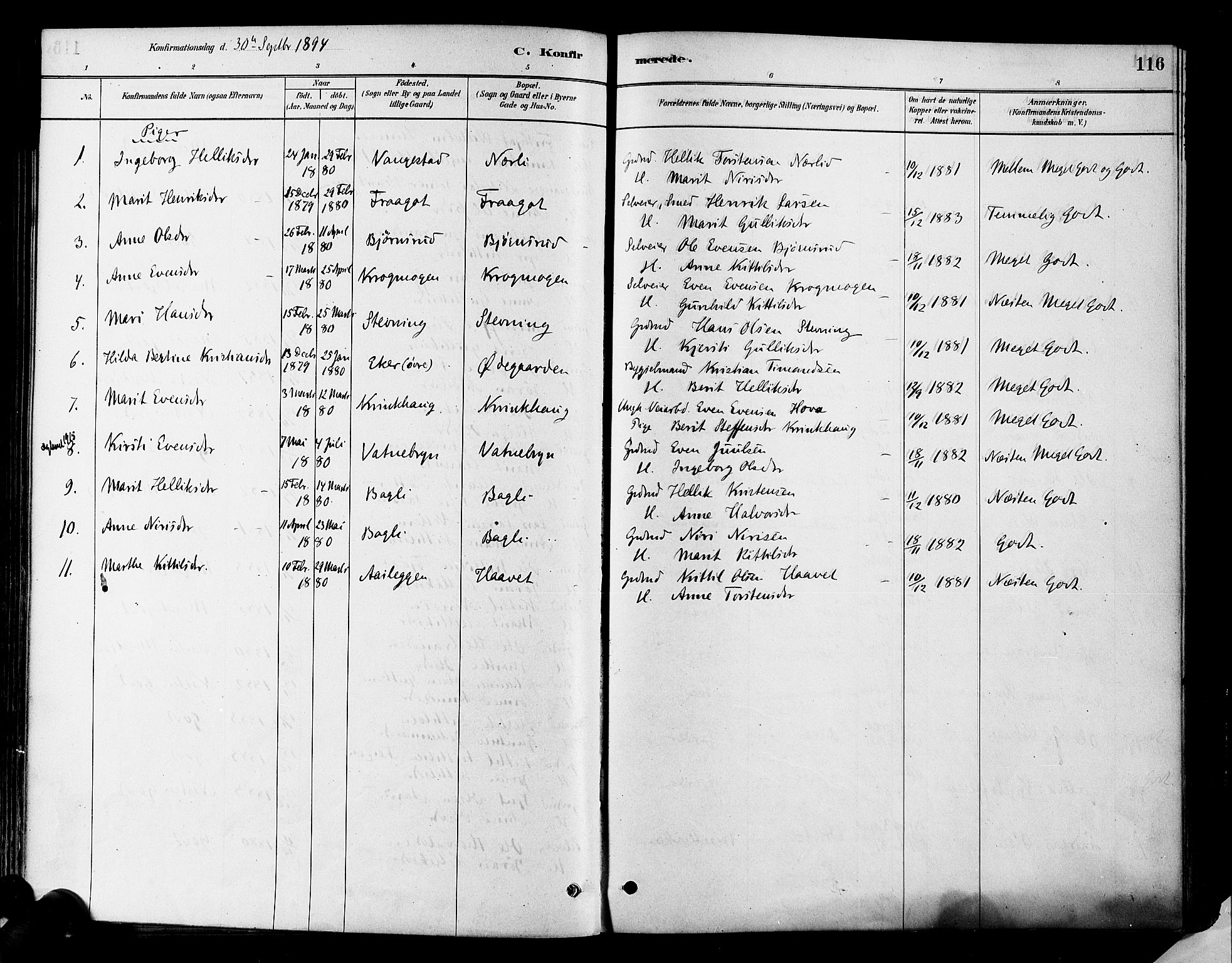 Flesberg kirkebøker, SAKO/A-18/F/Fa/L0008: Parish register (official) no. I 8, 1879-1899, p. 116