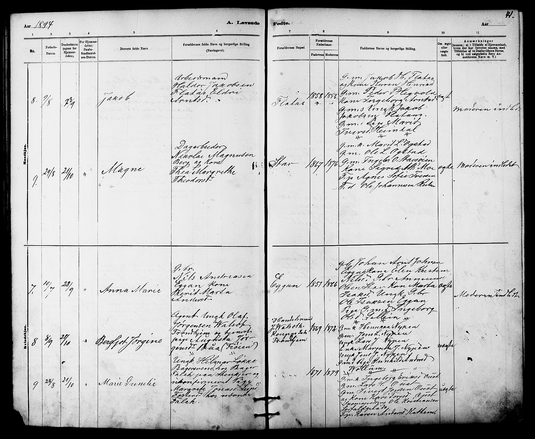 Ministerialprotokoller, klokkerbøker og fødselsregistre - Sør-Trøndelag, SAT/A-1456/613/L0395: Parish register (copy) no. 613C03, 1887-1909, p. 41