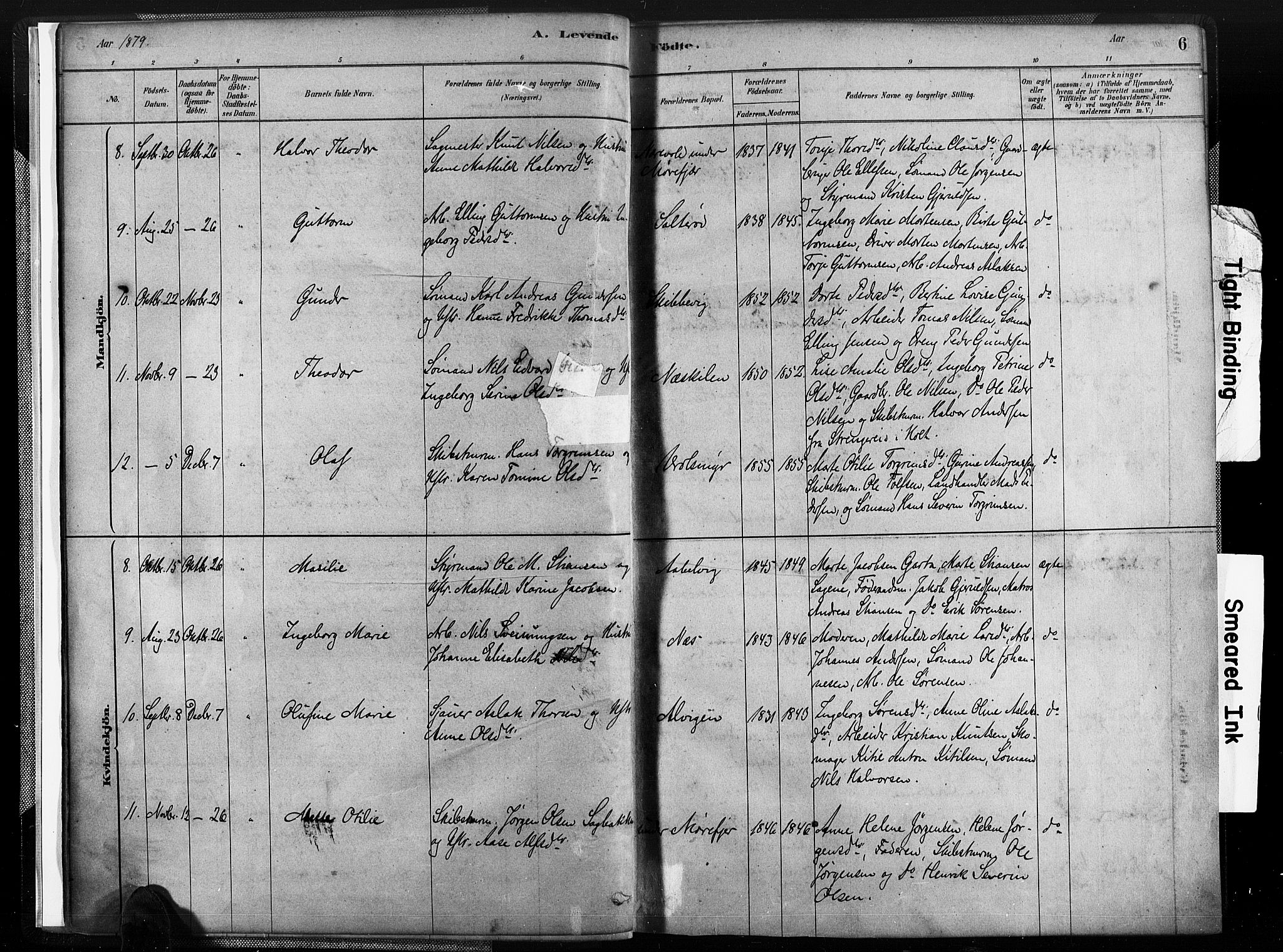 Austre Moland sokneprestkontor, SAK/1111-0001/F/Fa/Fab/L0001: Parish register (official) no. A 1, 1878-1898, p. 6