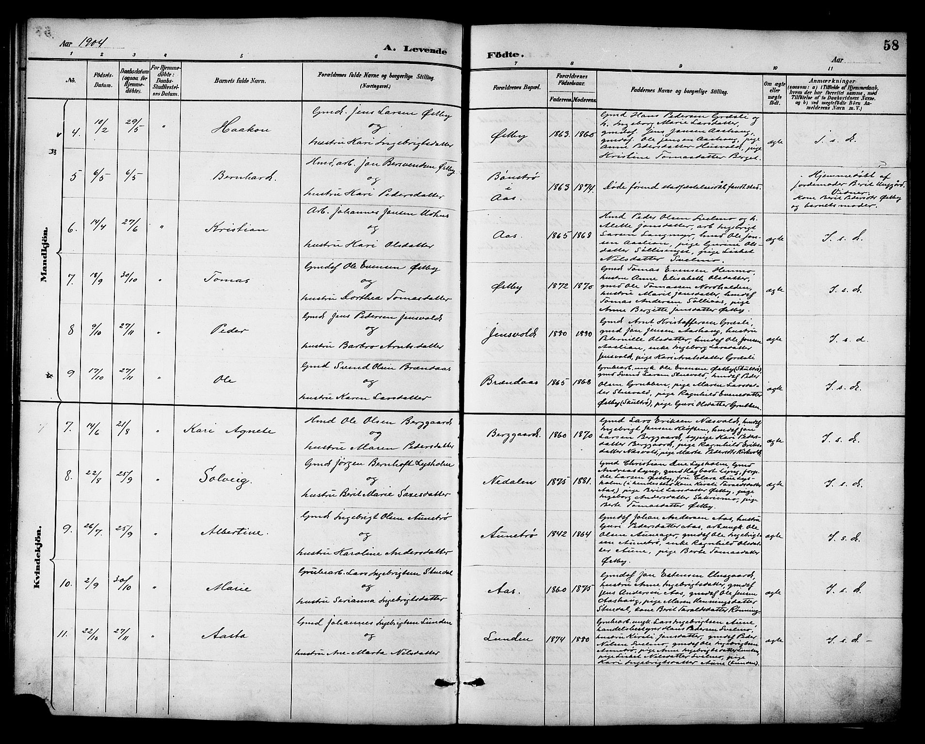 Ministerialprotokoller, klokkerbøker og fødselsregistre - Sør-Trøndelag, SAT/A-1456/698/L1167: Parish register (copy) no. 698C04, 1888-1907, p. 58