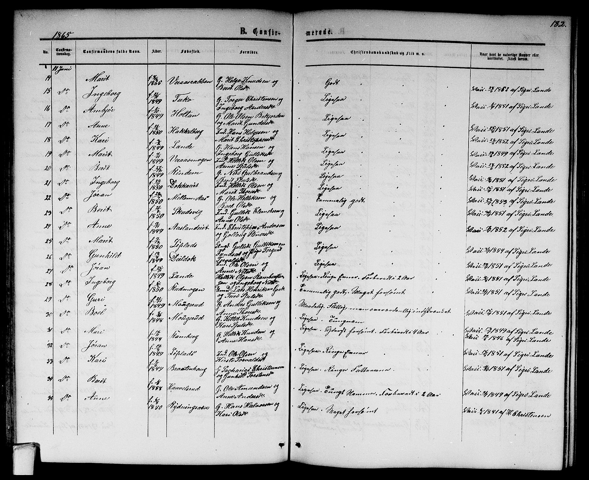 Flesberg kirkebøker, AV/SAKO-A-18/G/Ga/L0003: Parish register (copy) no. I 3, 1861-1889, p. 182