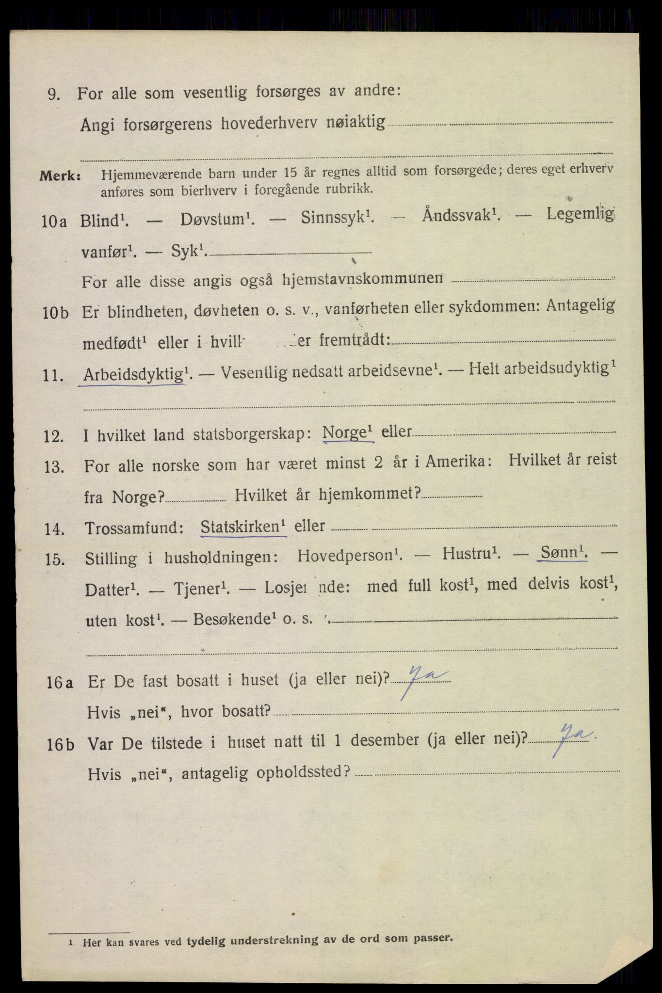 SAH, 1920 census for Åsnes, 1920, p. 11455