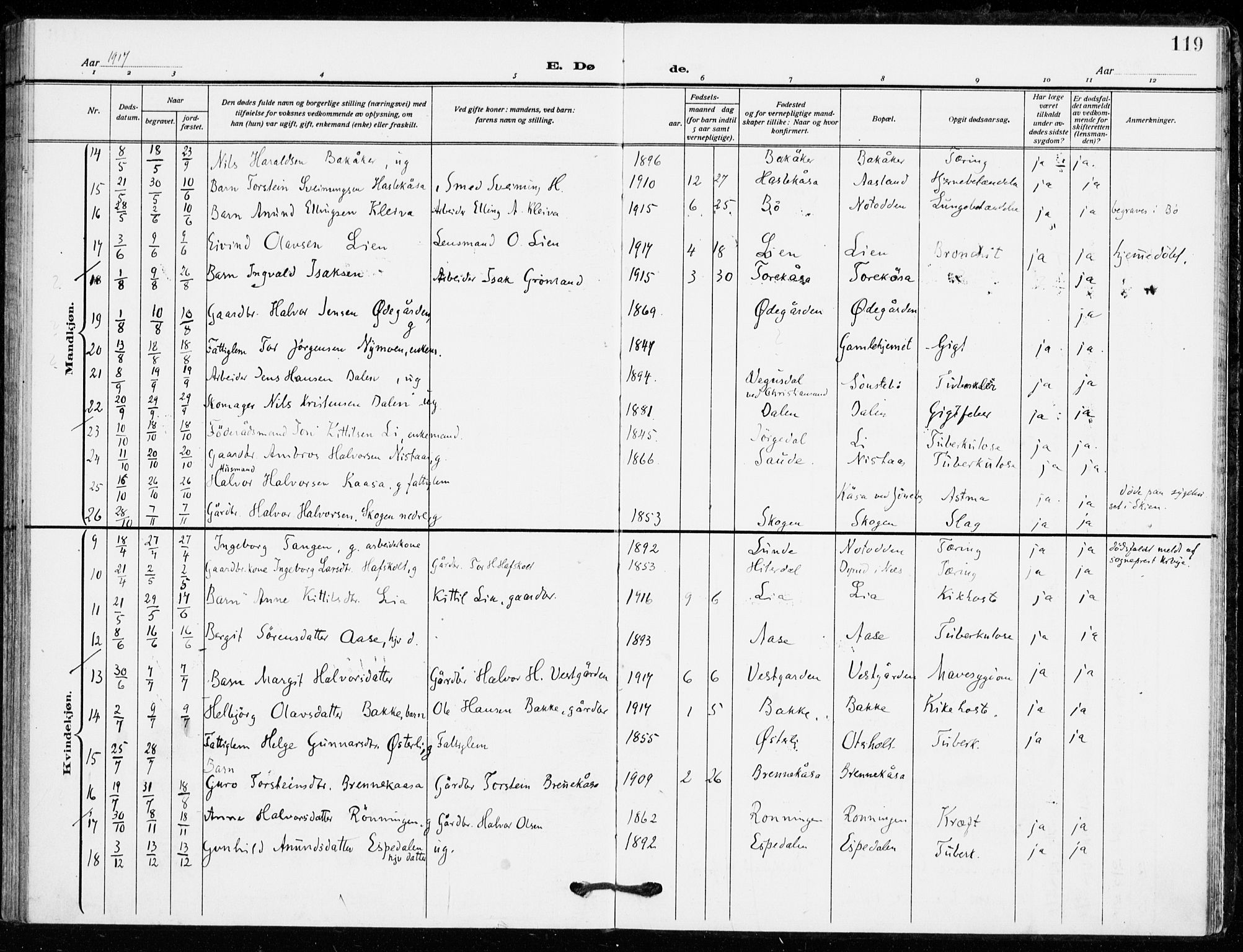Bø kirkebøker, SAKO/A-257/F/Fa/L0013: Parish register (official) no. 13, 1909-1921, p. 119
