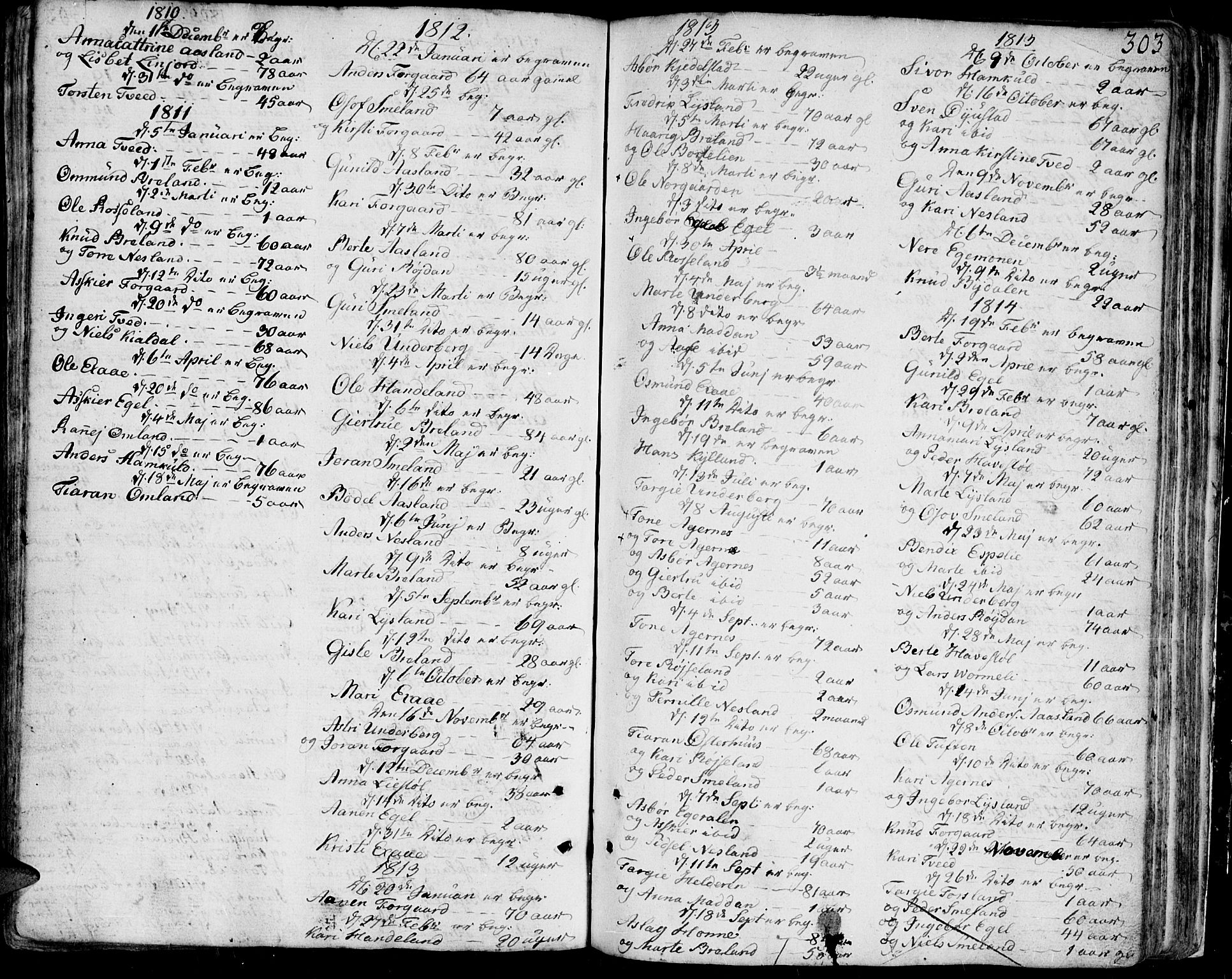 Bjelland sokneprestkontor, SAK/1111-0005/F/Fa/Faa/L0001: Parish register (official) no. A 1 /4, 1793-1815, p. 303