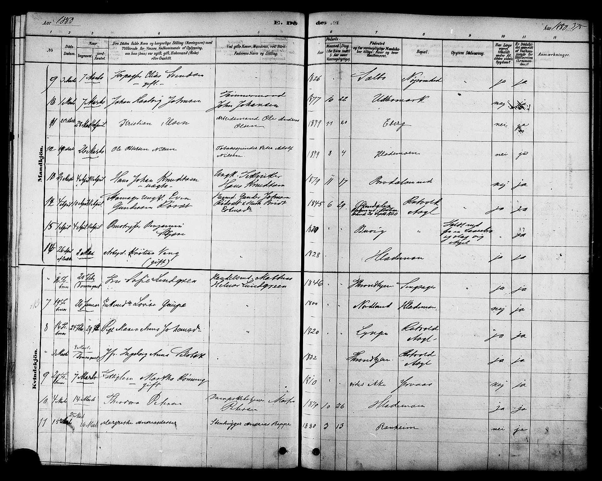 Ministerialprotokoller, klokkerbøker og fødselsregistre - Sør-Trøndelag, AV/SAT-A-1456/606/L0294: Parish register (official) no. 606A09, 1878-1886, p. 375