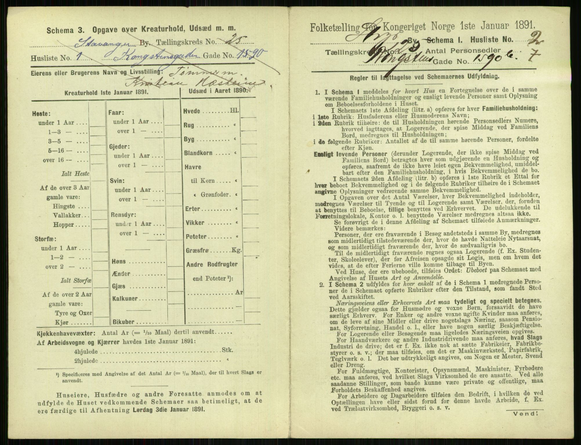 RA, 1891 census for 1103 Stavanger, 1891, p. 4787