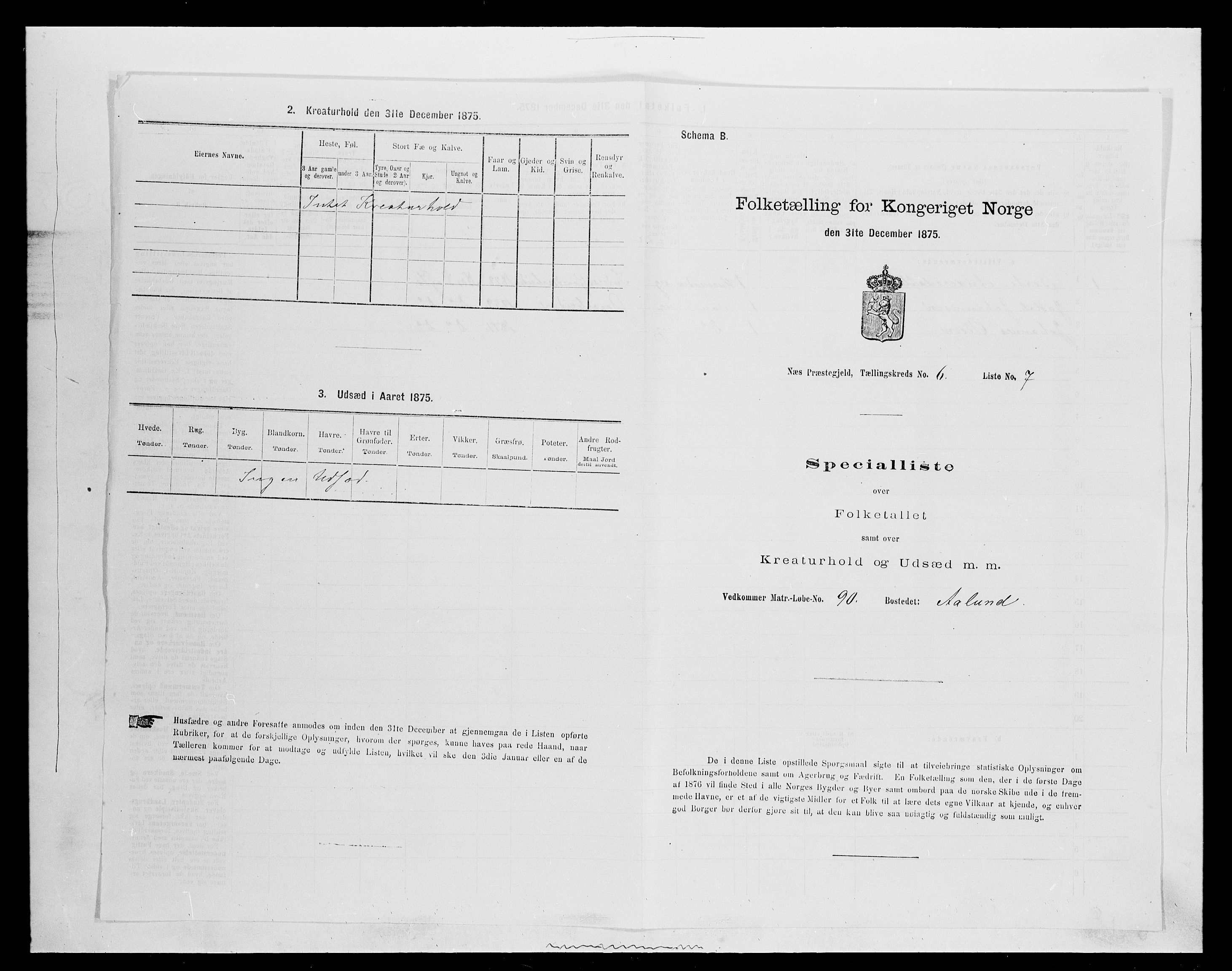 SAH, 1875 census for 0411P Nes, 1875, p. 960