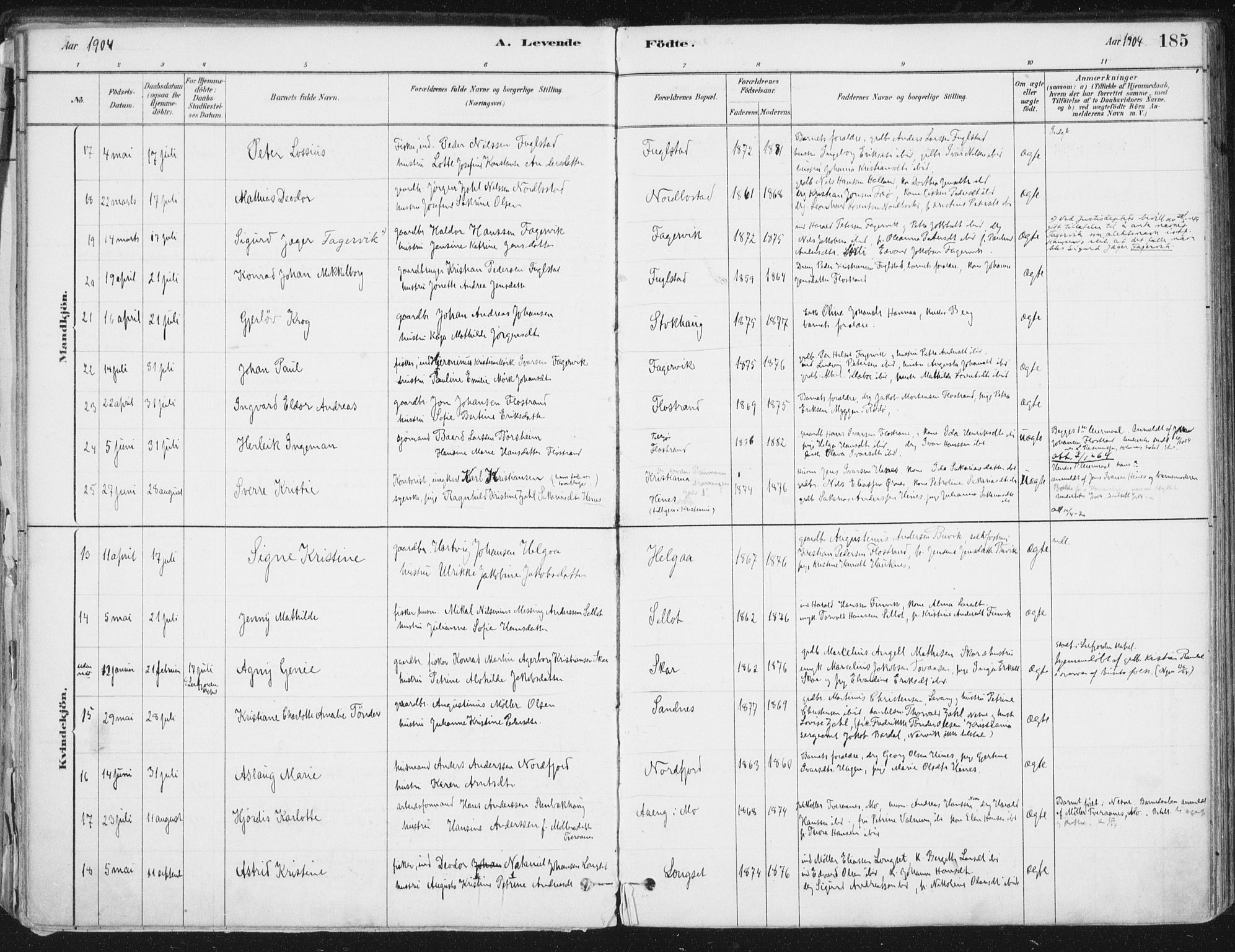 Ministerialprotokoller, klokkerbøker og fødselsregistre - Nordland, AV/SAT-A-1459/838/L0552: Parish register (official) no. 838A10, 1880-1910, p. 185