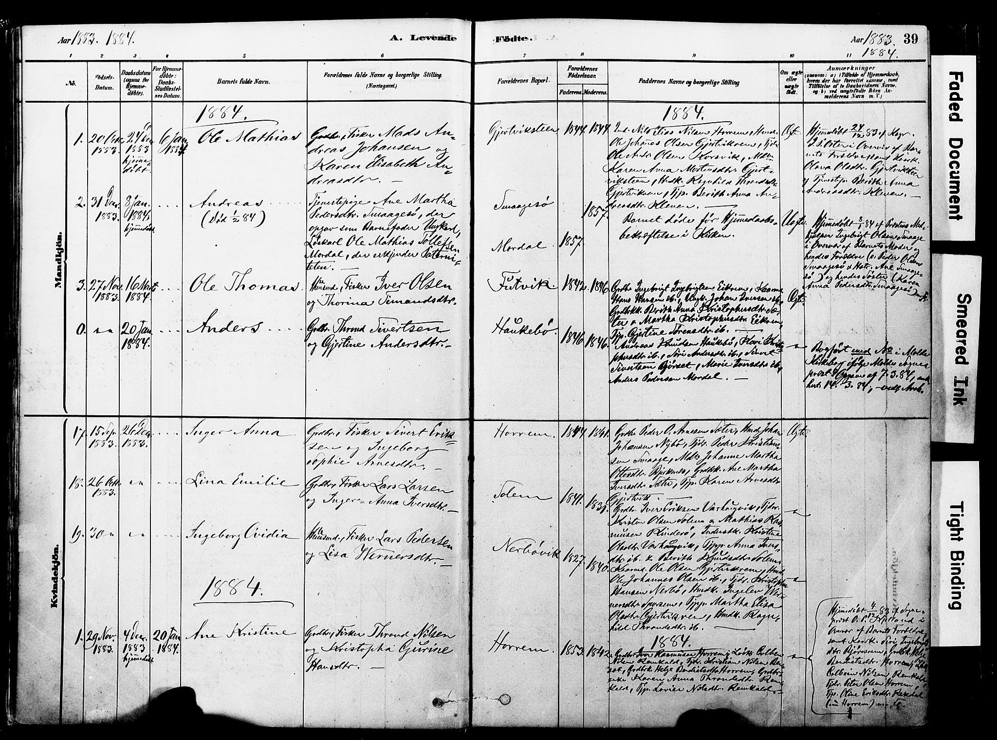 Ministerialprotokoller, klokkerbøker og fødselsregistre - Møre og Romsdal, SAT/A-1454/560/L0721: Parish register (official) no. 560A05, 1878-1917, p. 39