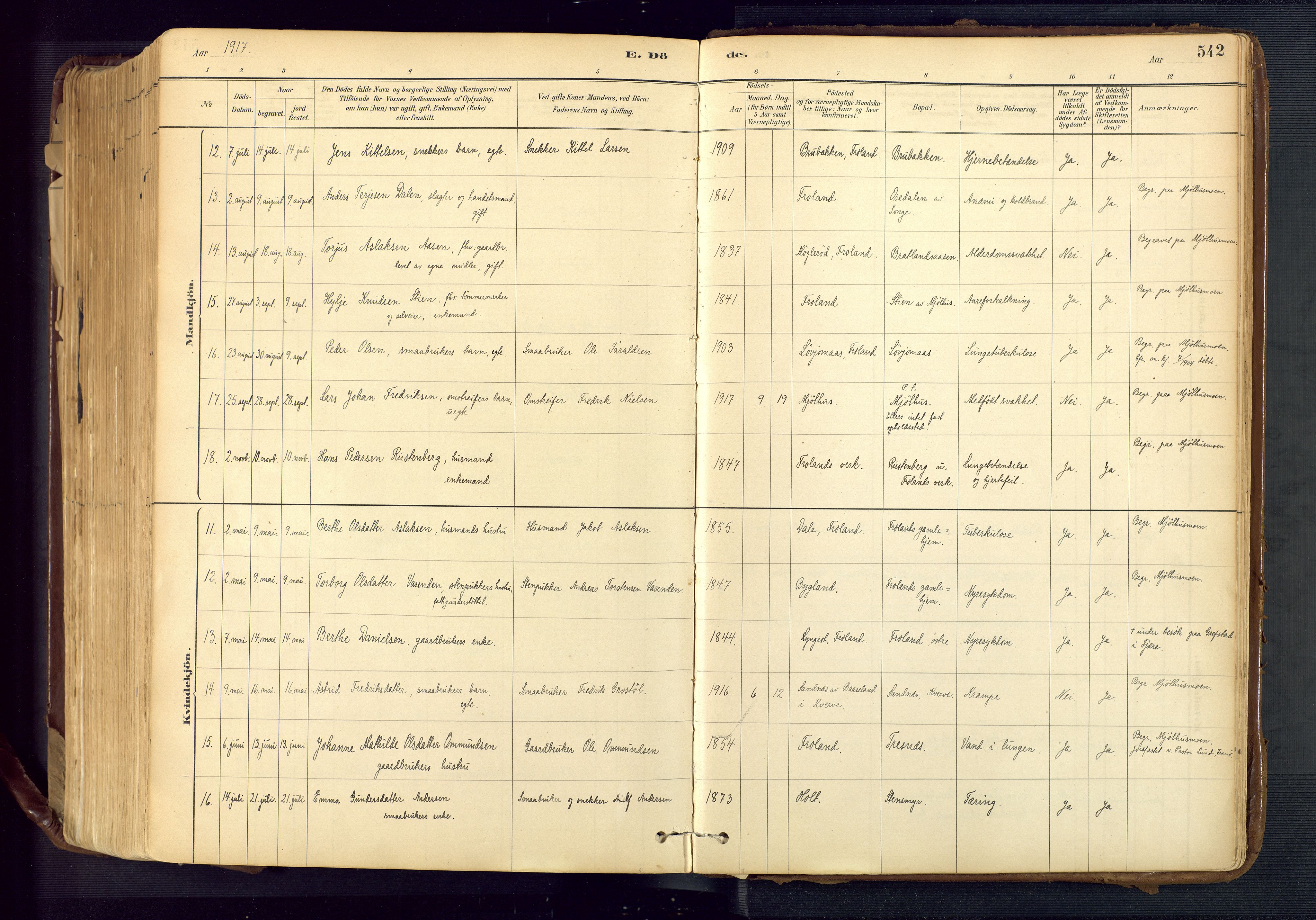 Froland sokneprestkontor, AV/SAK-1111-0013/F/Fa/L0005: Parish register (official) no. A 5, 1882-1921, p. 542