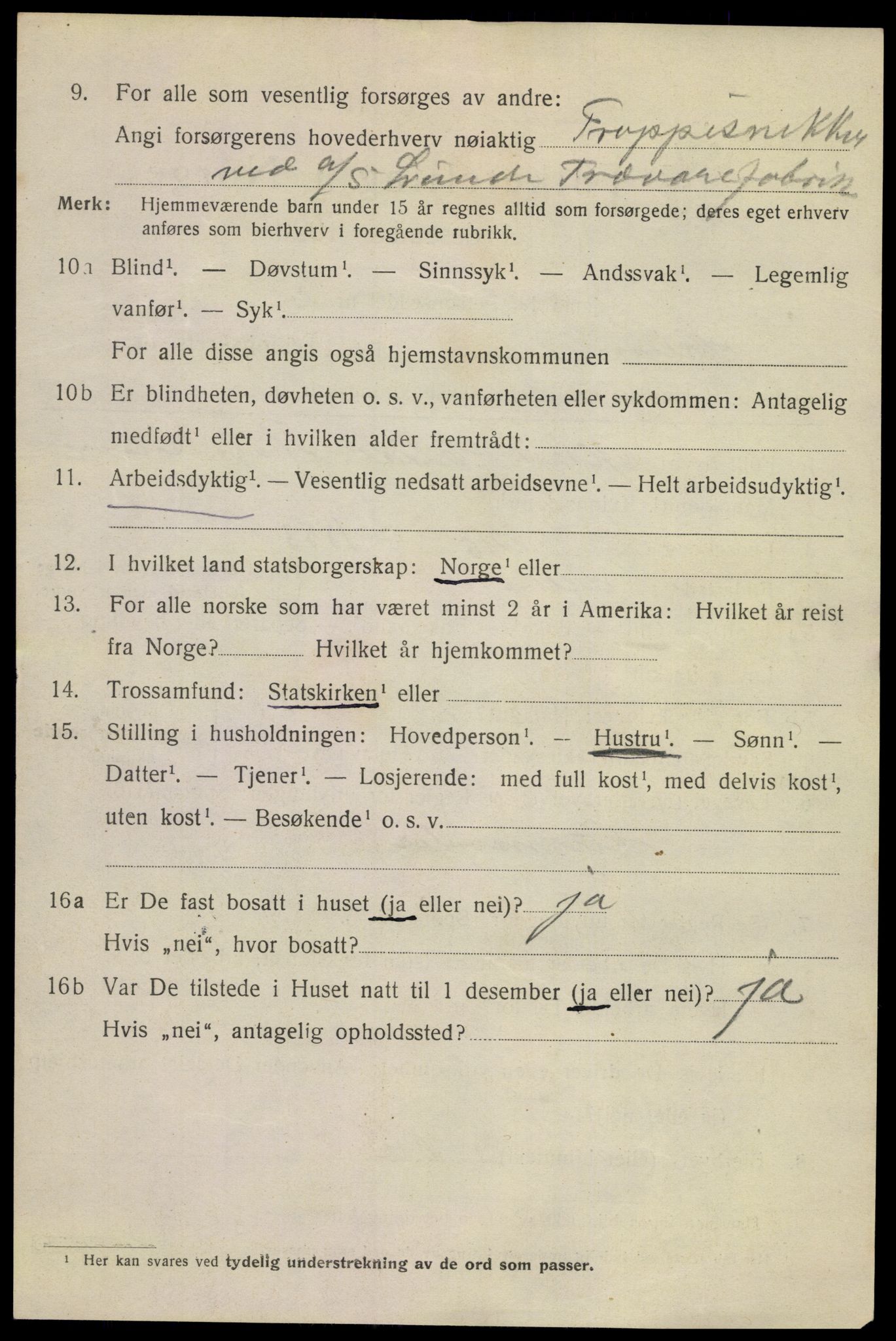 SAKO, 1920 census for Skien, 1920, p. 15171