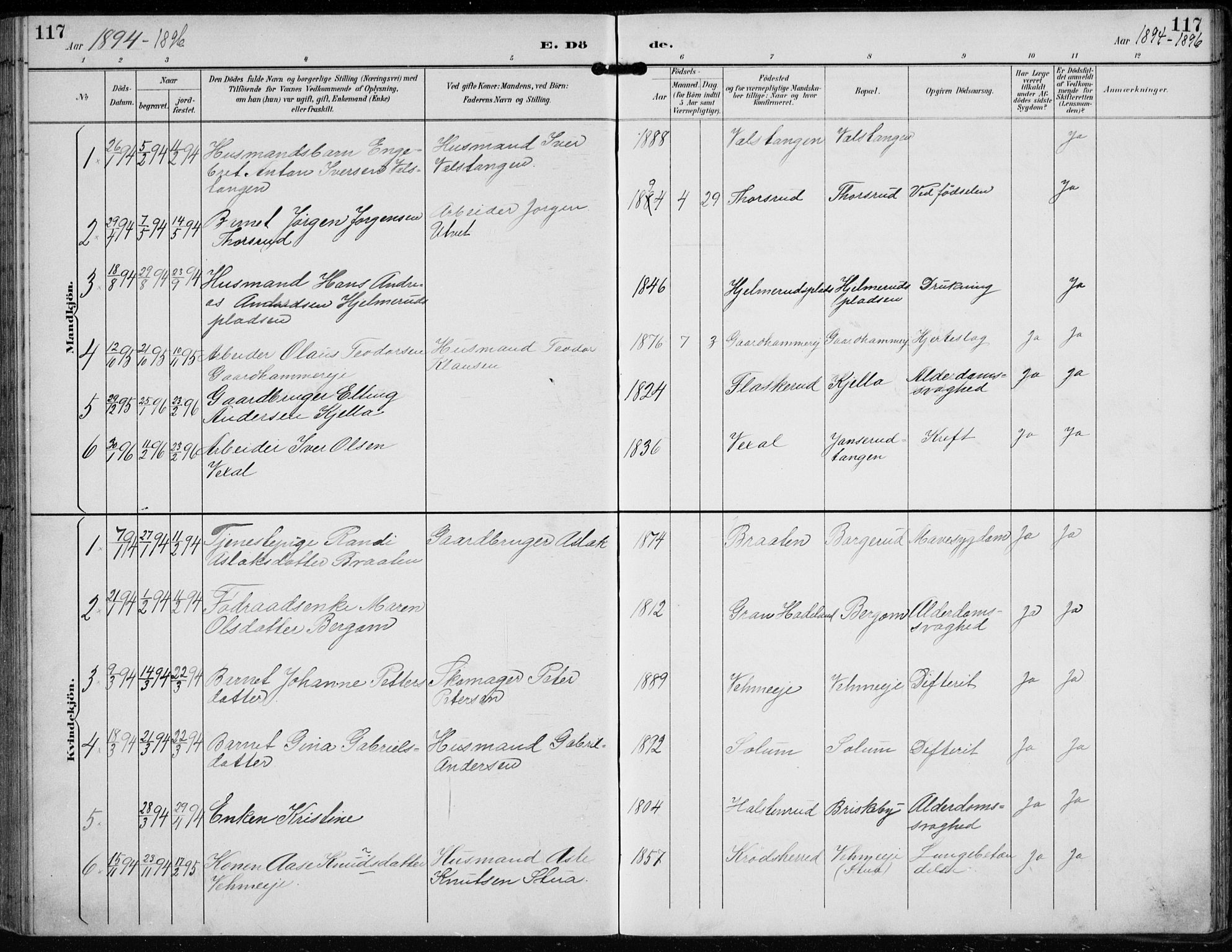 Lunder kirkebøker, SAKO/A-629/F/Fb/L0001: Parish register (official) no. II 1, 1893-1916, p. 117