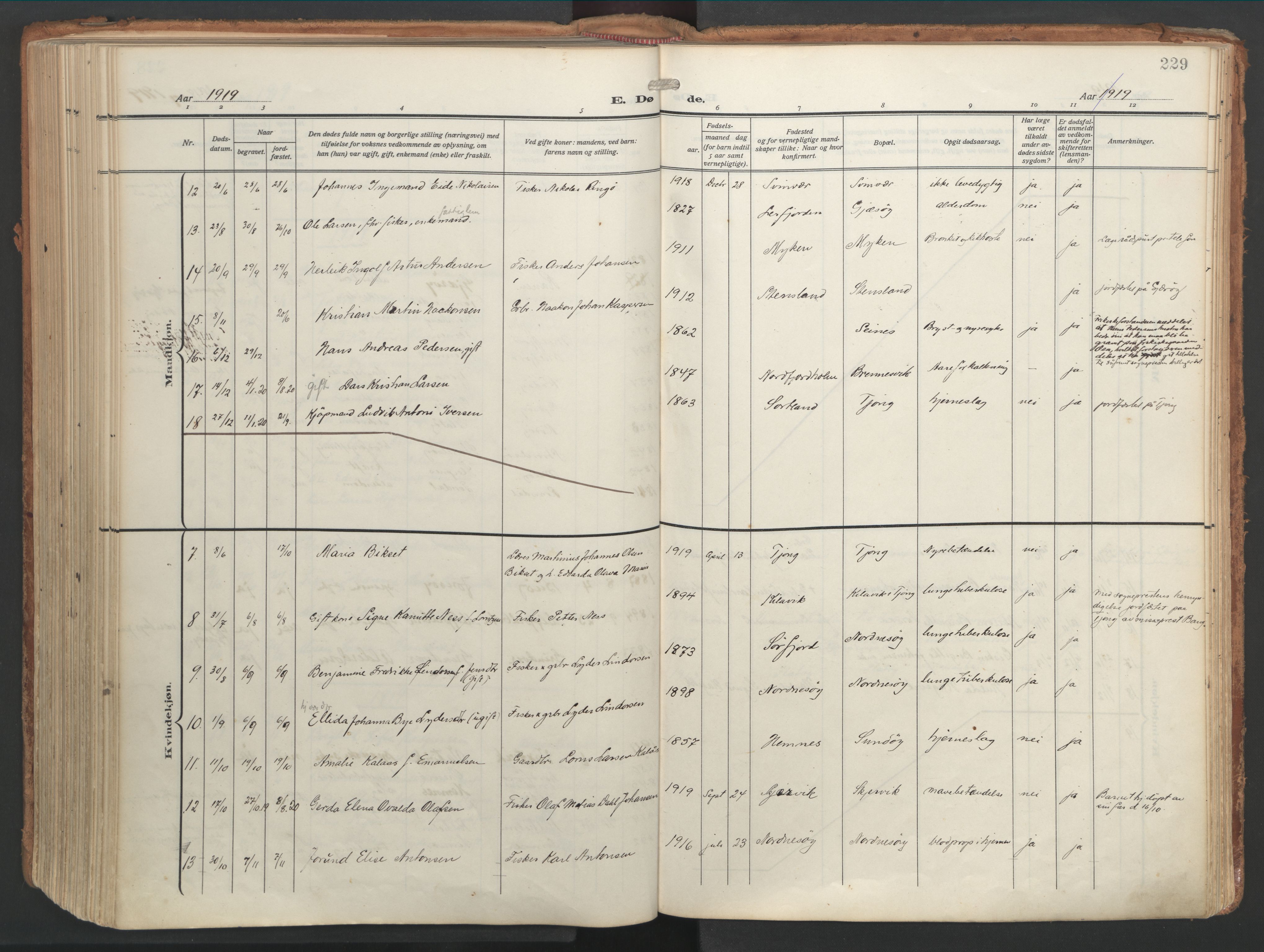 Ministerialprotokoller, klokkerbøker og fødselsregistre - Nordland, SAT/A-1459/841/L0614: Parish register (official) no. 841A17, 1911-1925, p. 229