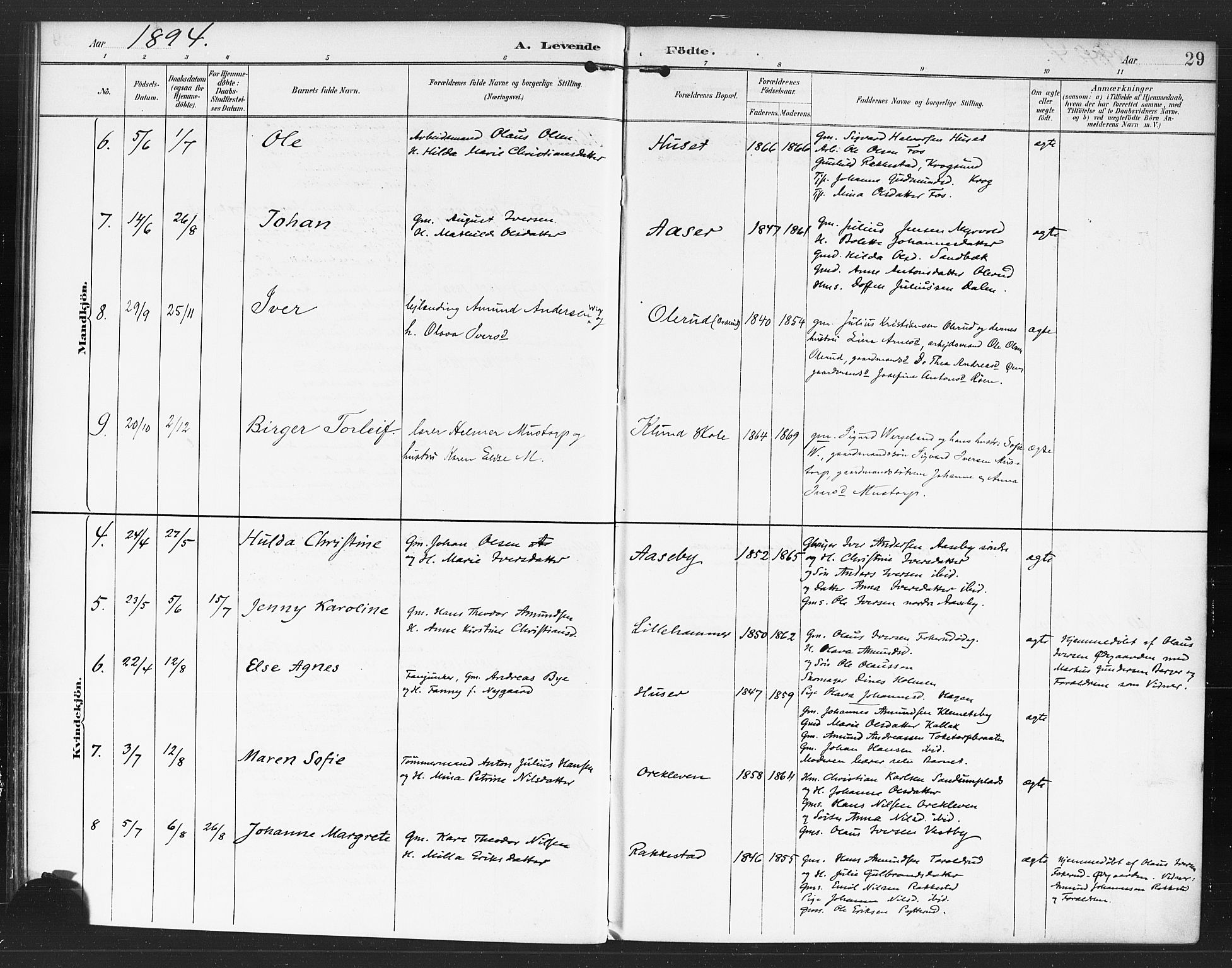 Rødenes prestekontor Kirkebøker, AV/SAO-A-2005/F/Fa/L0010: Parish register (official) no. I 10, 1890-1900, p. 29