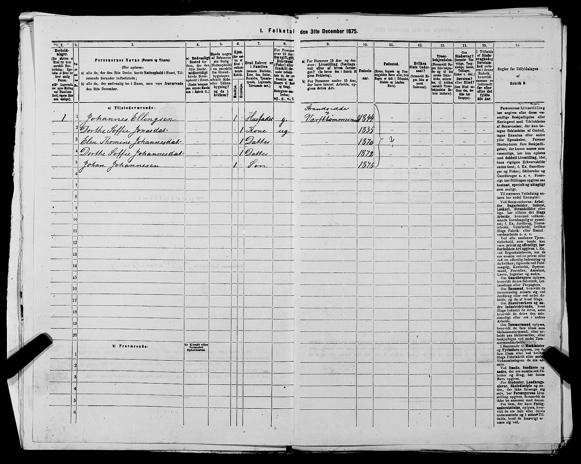 SAST, 1875 census for 1138P Jelsa, 1875, p. 593