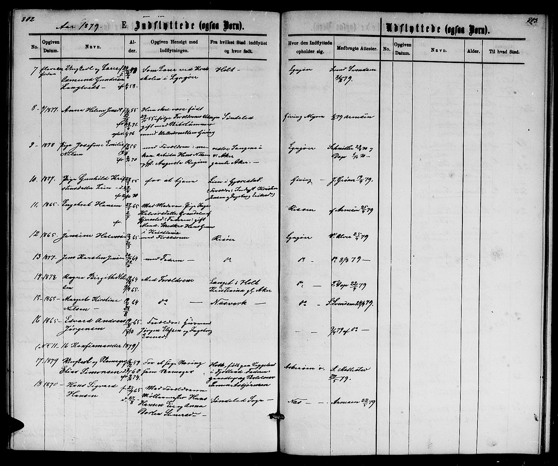 Dypvåg sokneprestkontor, SAK/1111-0007/F/Fb/Fba/L0012: Parish register (copy) no. B 12, 1872-1886, p. 802-803