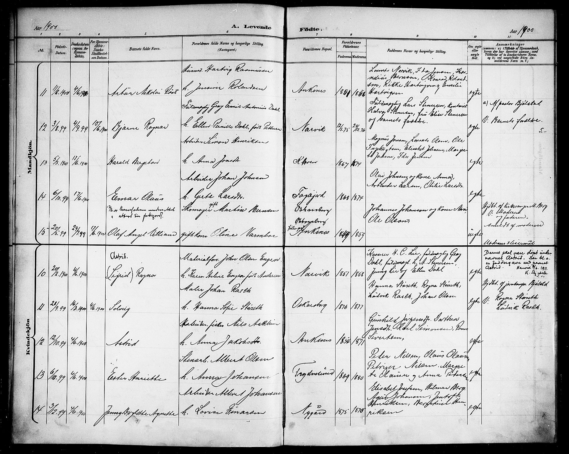 Ministerialprotokoller, klokkerbøker og fødselsregistre - Nordland, AV/SAT-A-1459/866/L0953: Parish register (copy) no. 866C02, 1900-1905