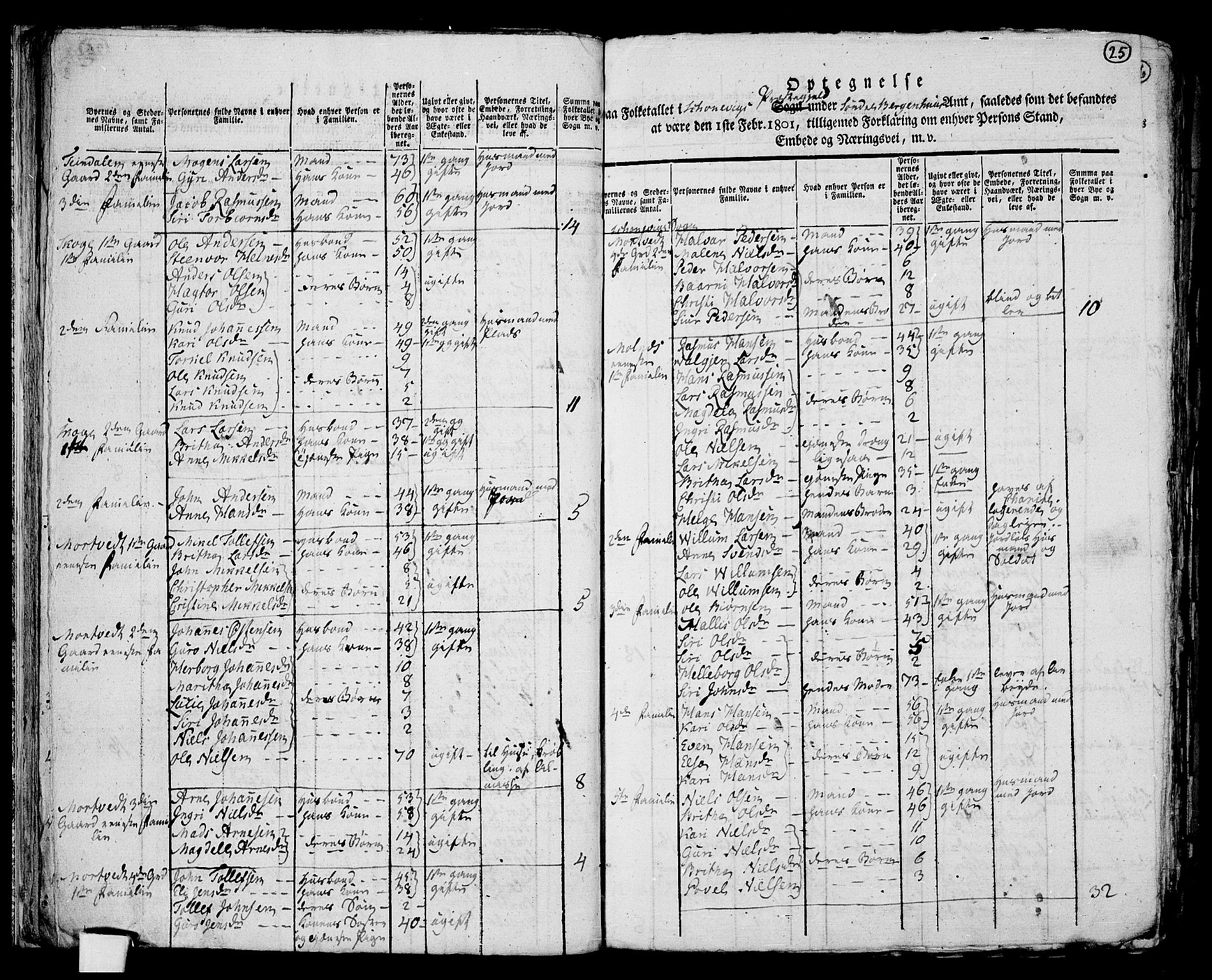 RA, 1801 census for 1212P Skånevik, 1801, p. 24b-25a