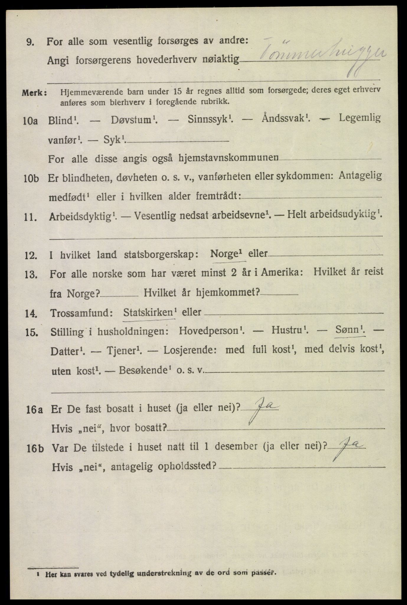 SAH, 1920 census for Trysil, 1920, p. 14654