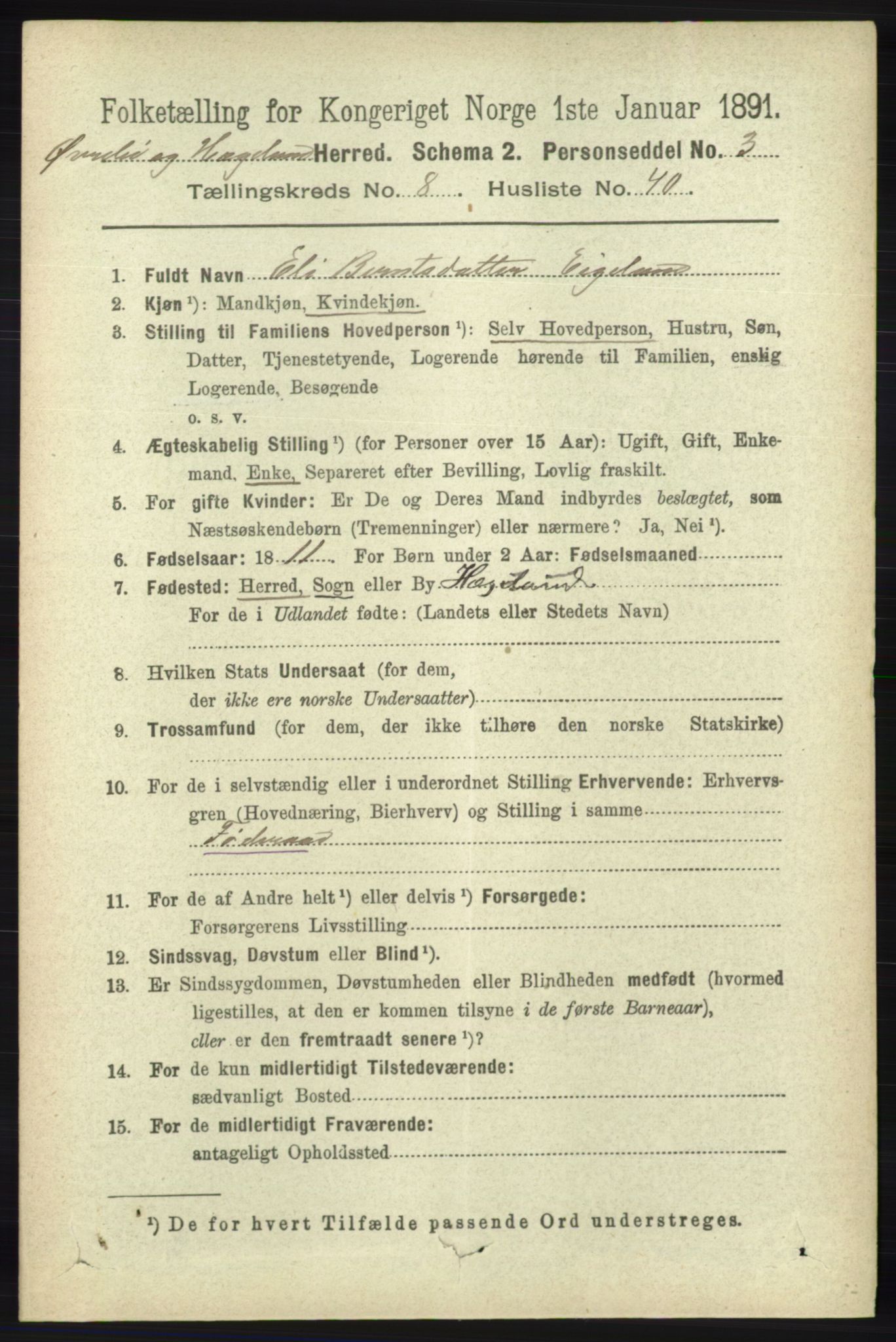 RA, 1891 census for 1016 Øvrebø og Hægeland, 1891, p. 1699