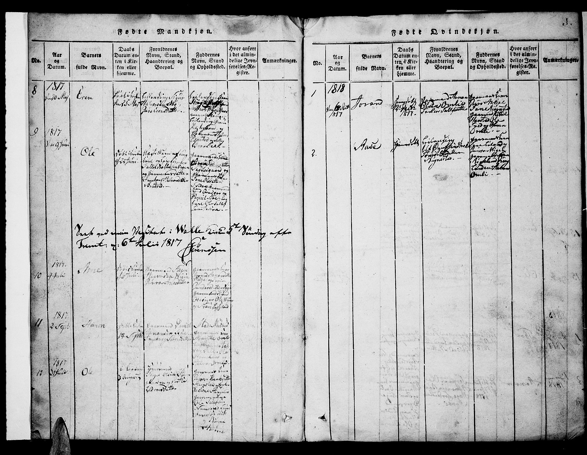 Valle sokneprestkontor, AV/SAK-1111-0044/F/Fb/Fbc/L0001: Parish register (copy) no. B 1 /1, 1816-1829, p. 3