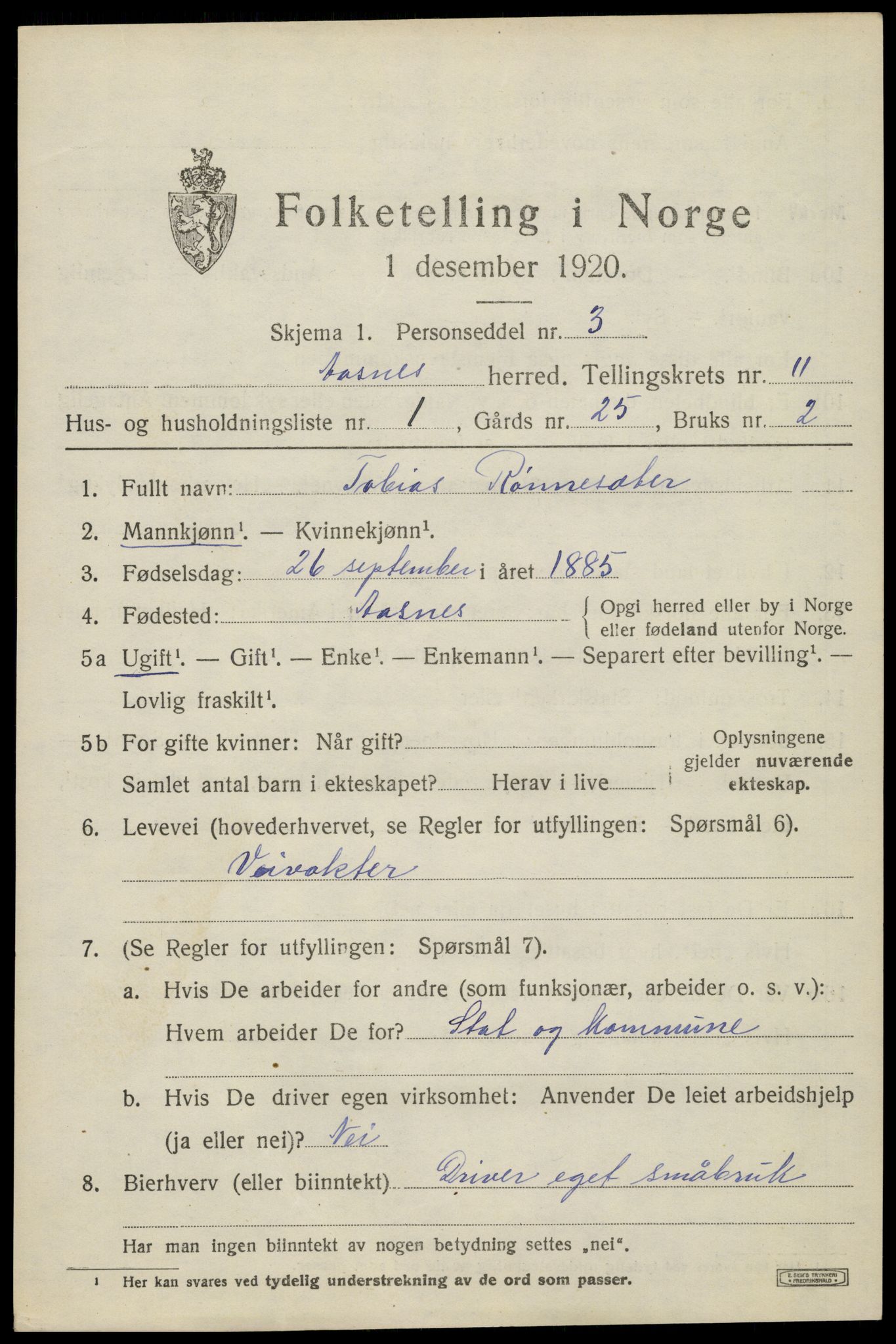 SAH, 1920 census for Åsnes, 1920, p. 11448