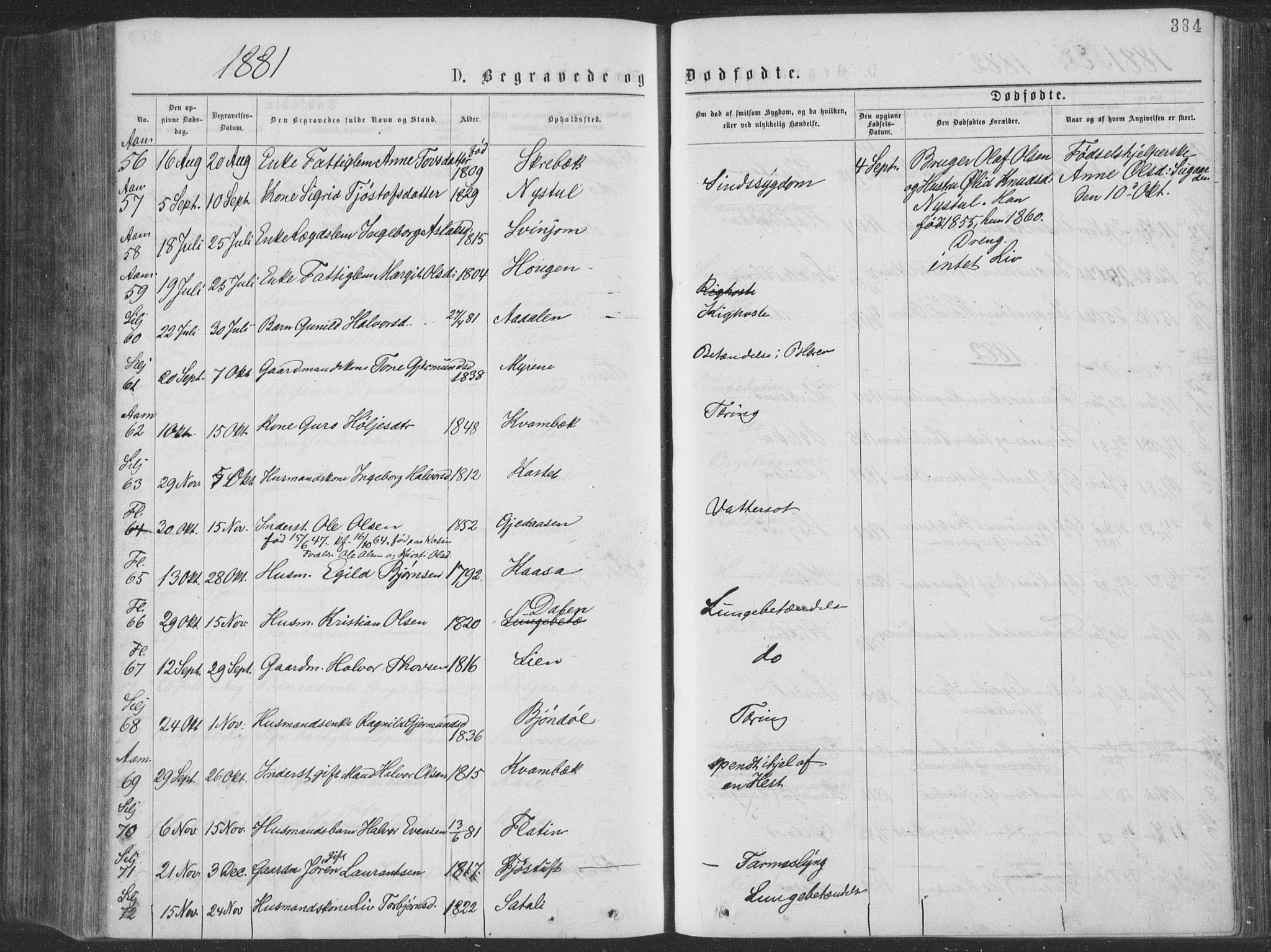 Seljord kirkebøker, SAKO/A-20/F/Fa/L0014: Parish register (official) no. I 14, 1877-1886, p. 384